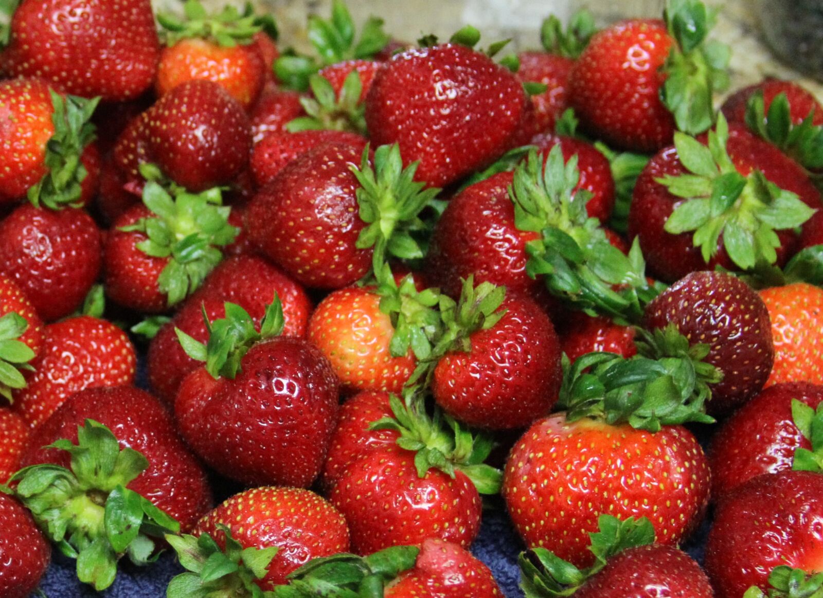 Canon EOS 7D sample photo. Strawberries, fruit, healthy photography