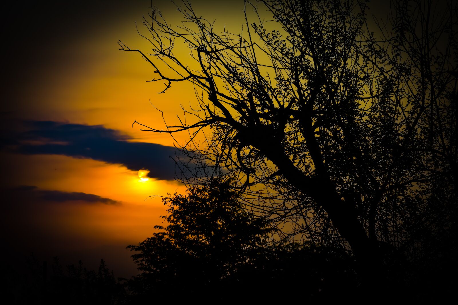 Nikon D3400 sample photo. Sunset, tree, nature photography