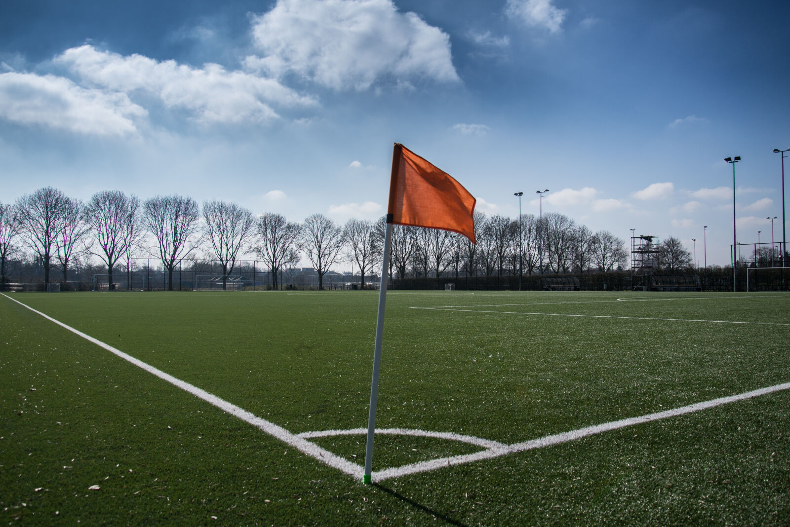 Nikon D600 sample photo. Outside, grass, sport, ball photography