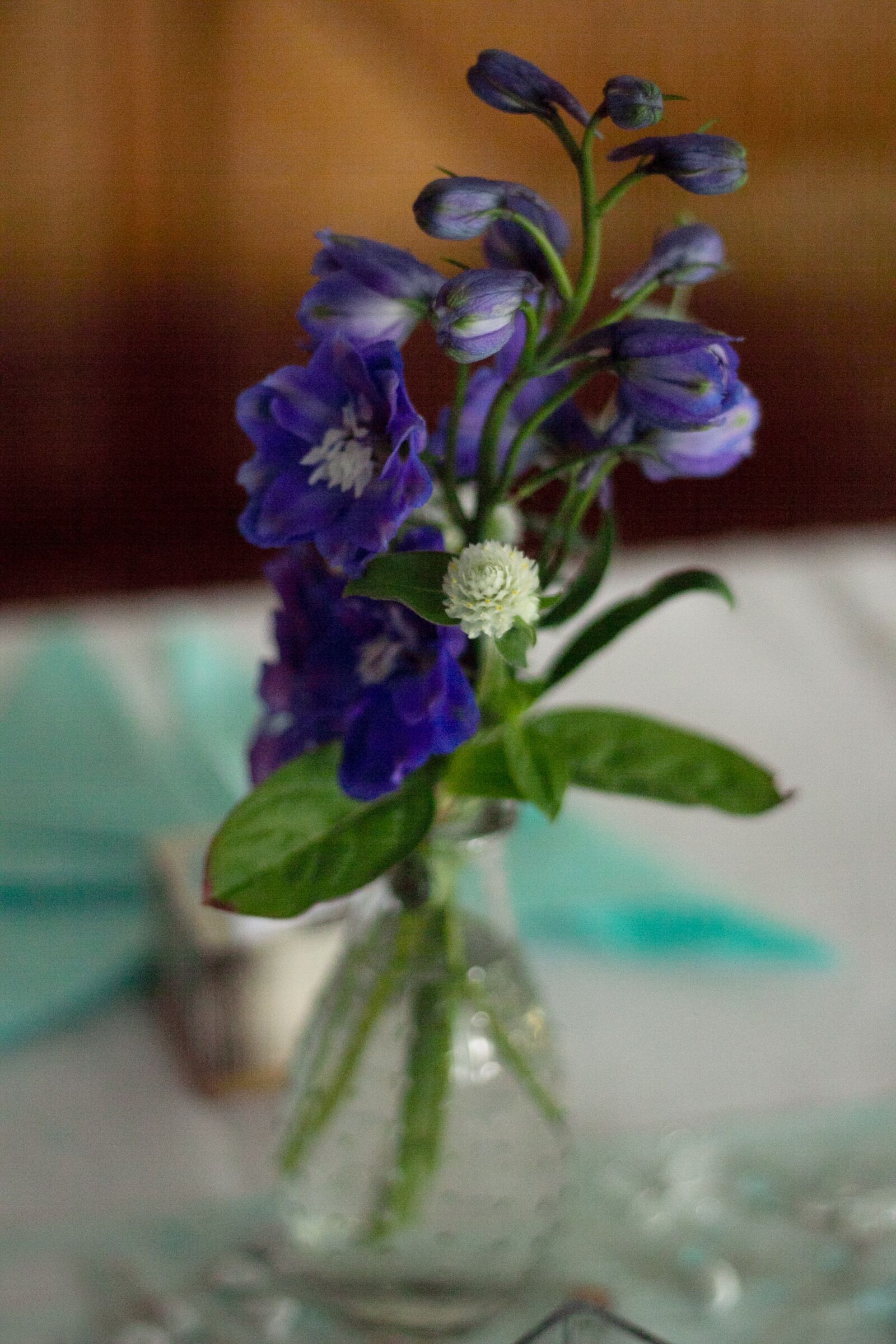 Canon EOS 60D + Canon EF 50mm F1.8 II sample photo. Close up, flowers, macro photography