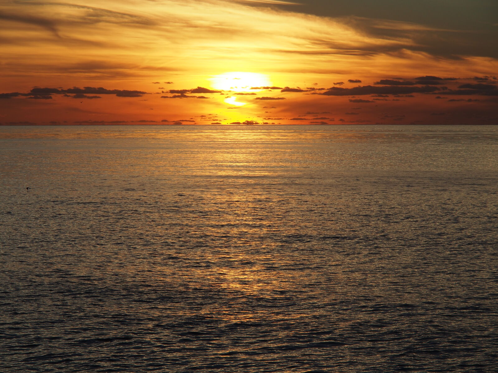 Olympus OM-D E-M5 sample photo. Sunset, ocean photography