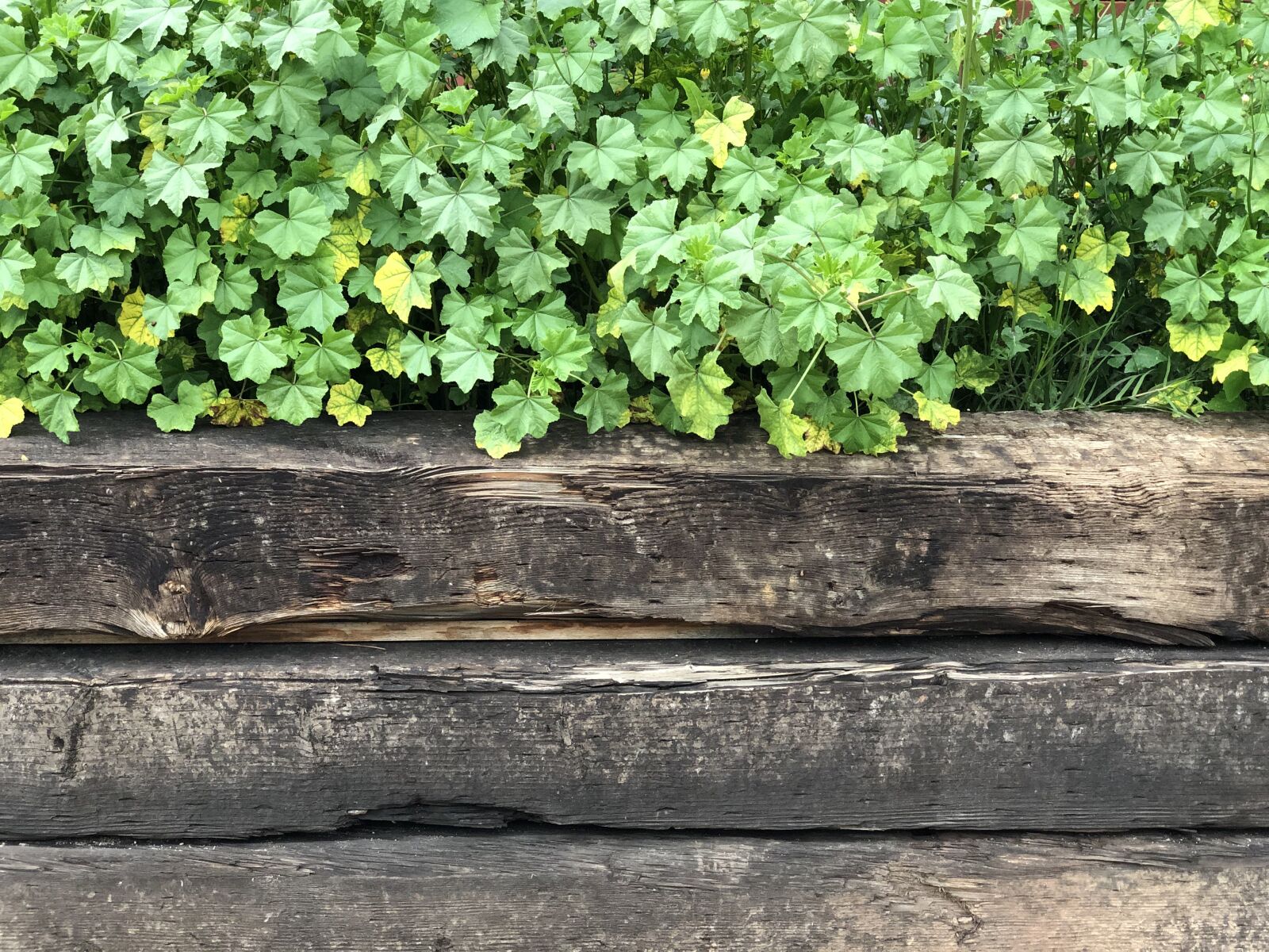 iPhone X back dual camera 6mm f/2.4 sample photo. Wall, railroad, old photography