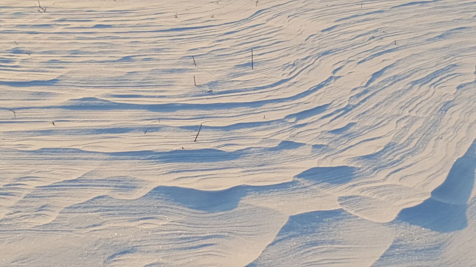 Samsung Galaxy S6 sample photo. Winter, snow, dune photography