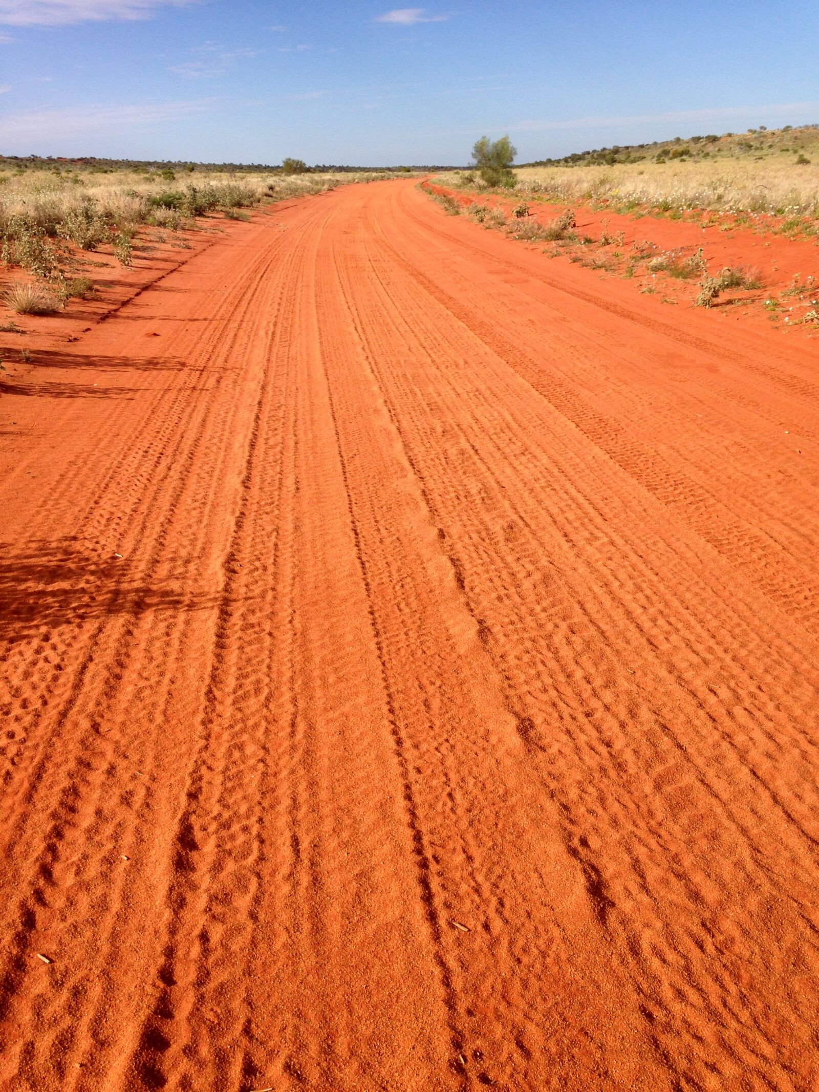 iPhone 5c back camera 4.12mm f/2.4 sample photo. Horizon, landscape, nature, outback photography