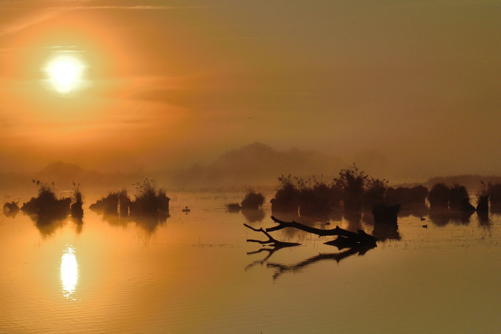 Nikon D750 sample photo. Pond, sunrise, sky photography