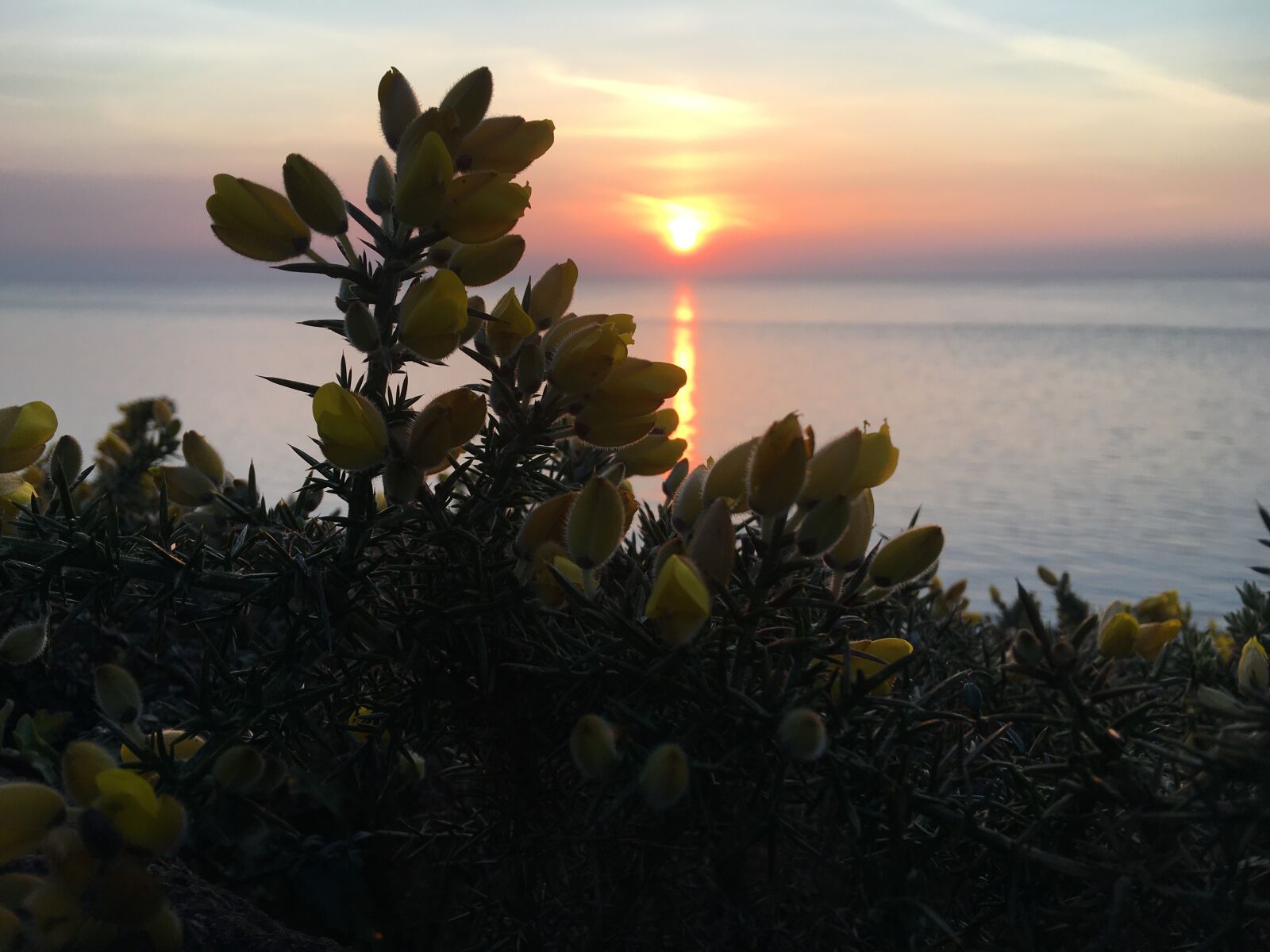 iPhone 6s Plus back camera 4.15mm f/2.2 sample photo. Penarth, seafront, sunrise photography