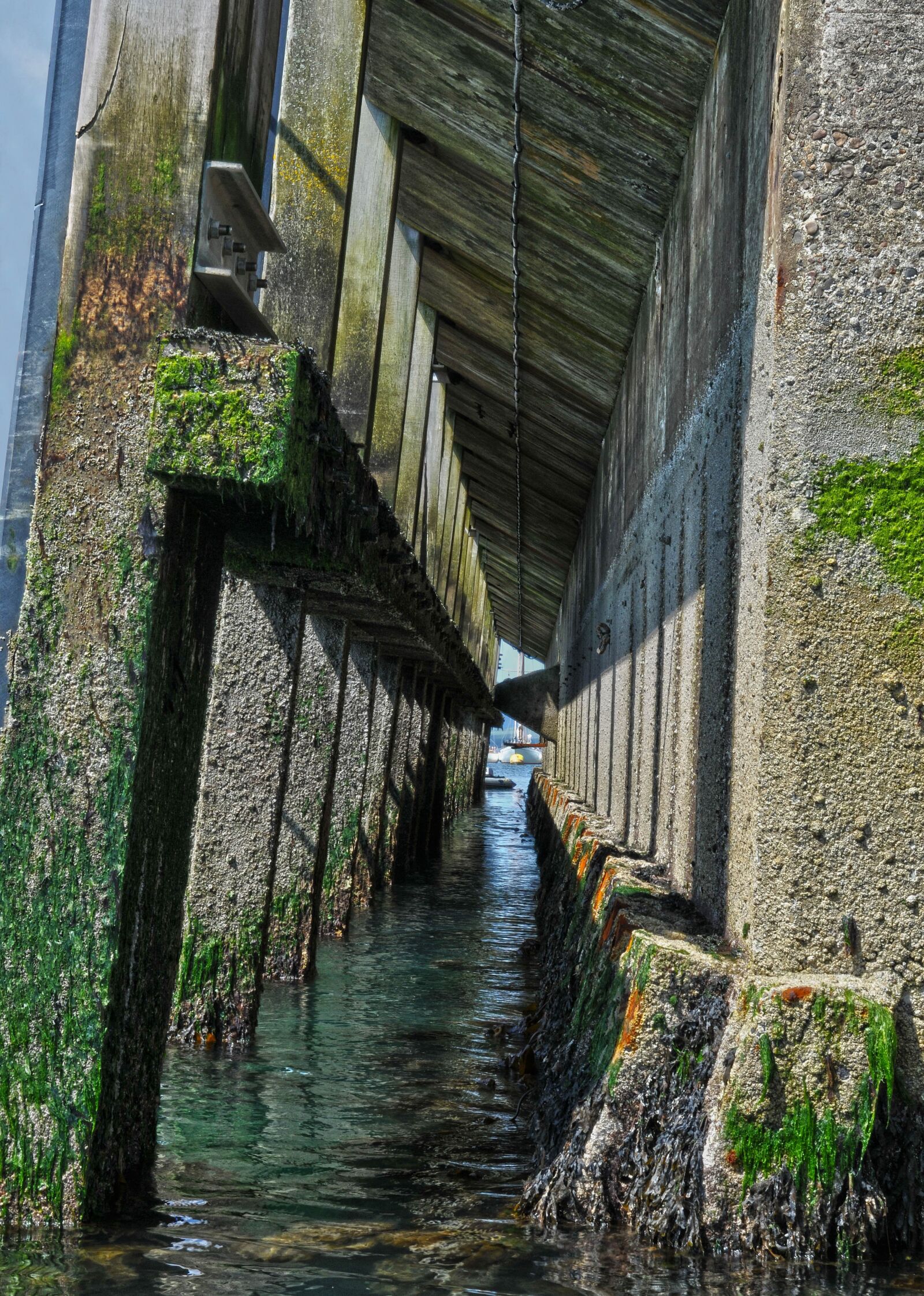 Nikon D300S sample photo. Body of water, wood photography