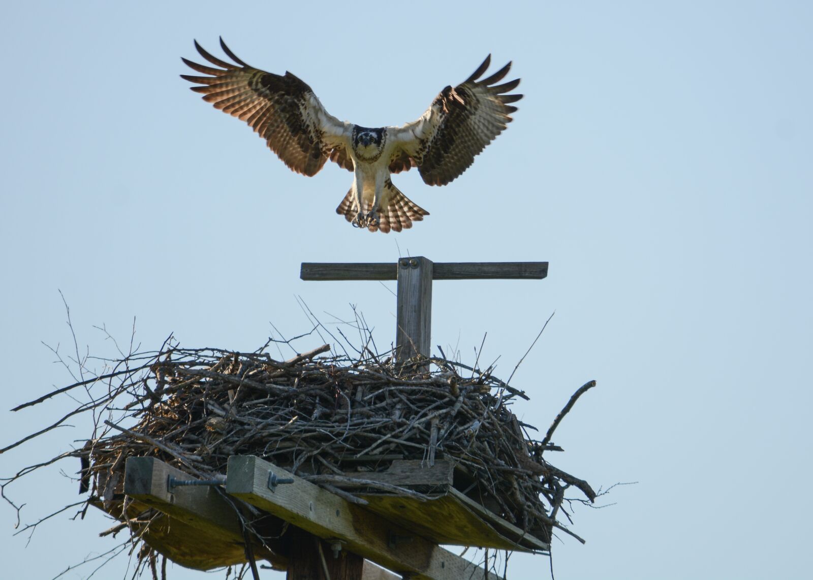 Nikon D7100 sample photo
