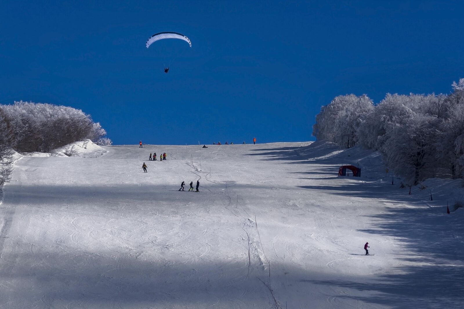 Nikon D750 sample photo. Snow, winter, cold photography
