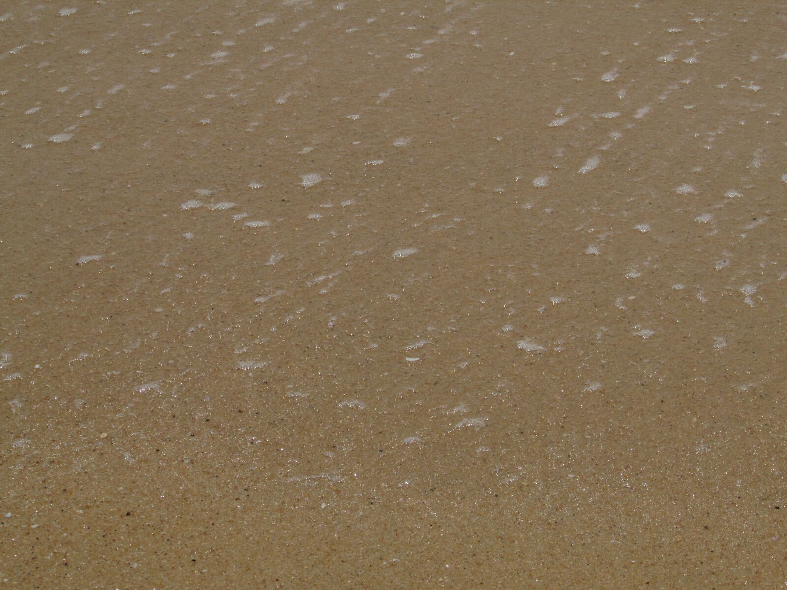 Canon PowerShot SX500 IS sample photo. Sand, beach, sandy photography