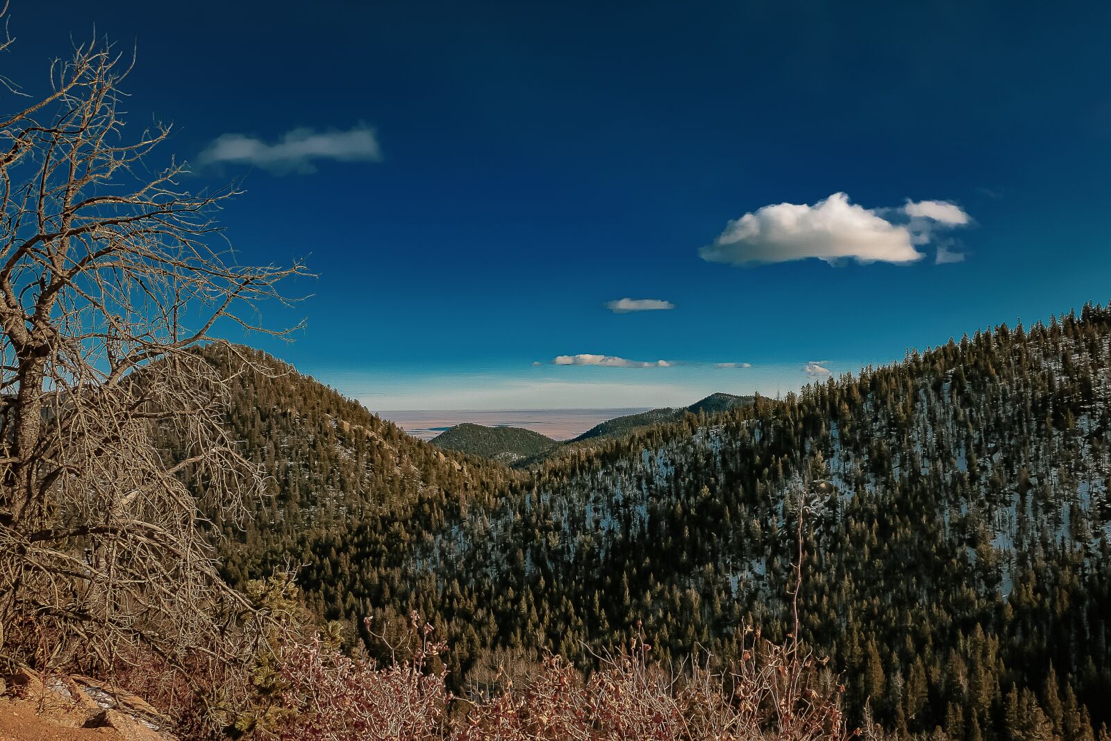 Canon EOS 70D sample photo. Mountain, aspen, snow photography