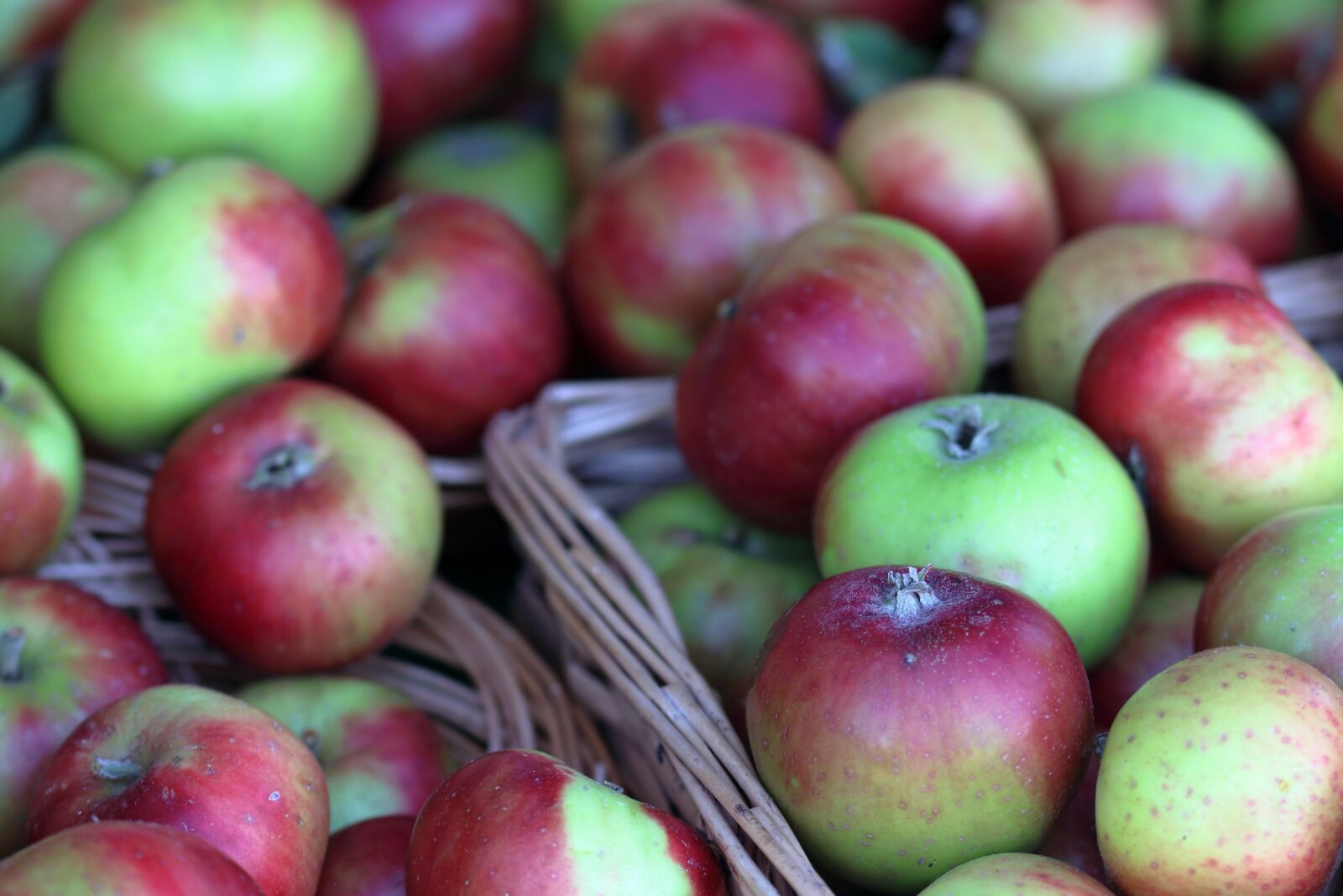 Canon EOS 80D sample photo. Apples, harvest, fruits photography