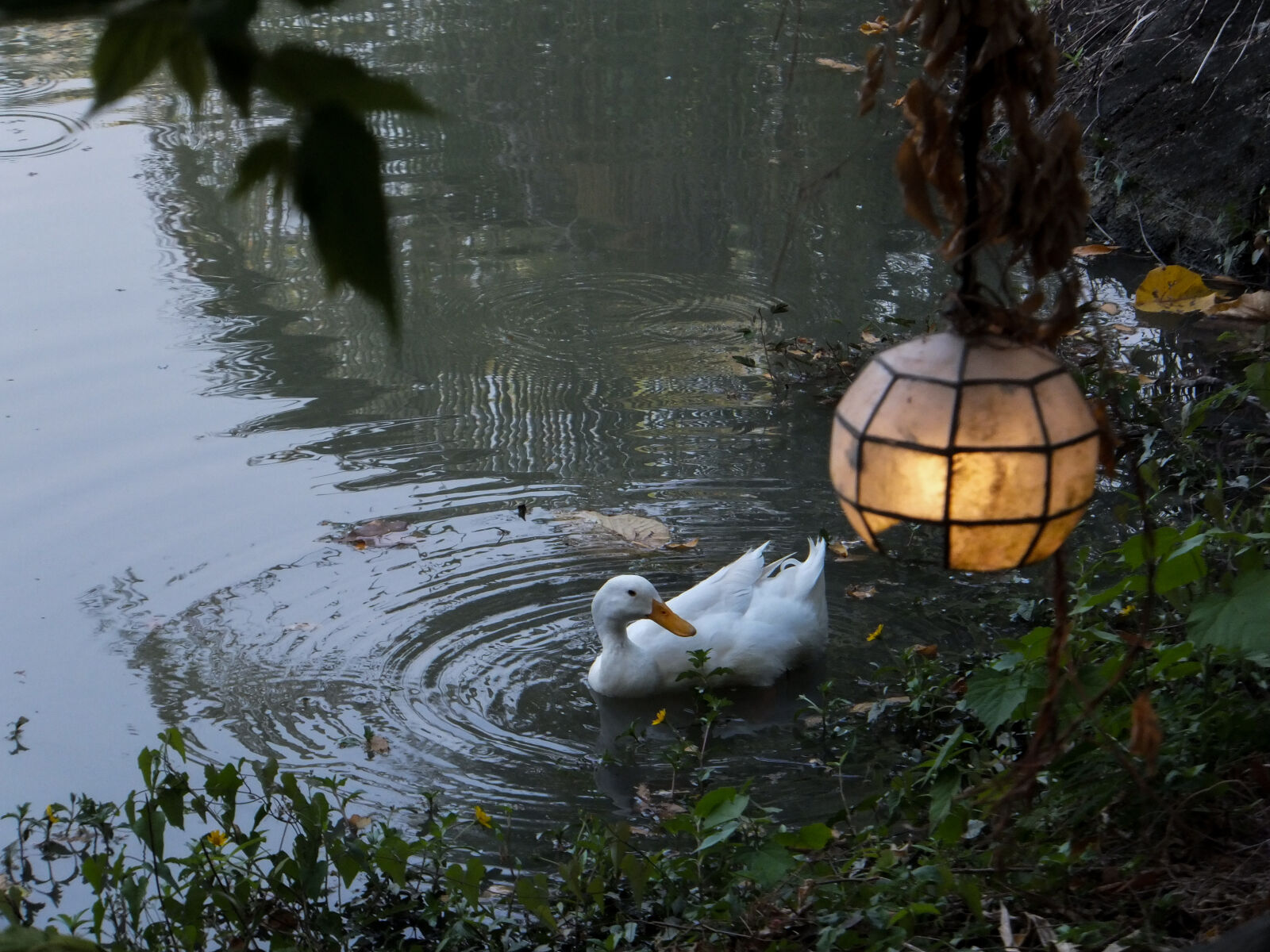 Fujifilm FinePix F600 EXR sample photo