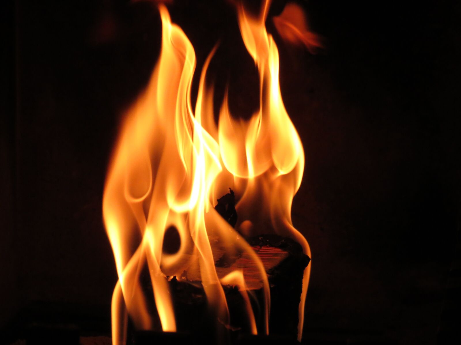 Canon PowerShot SX40 HS sample photo. Flame, fire, open fire photography