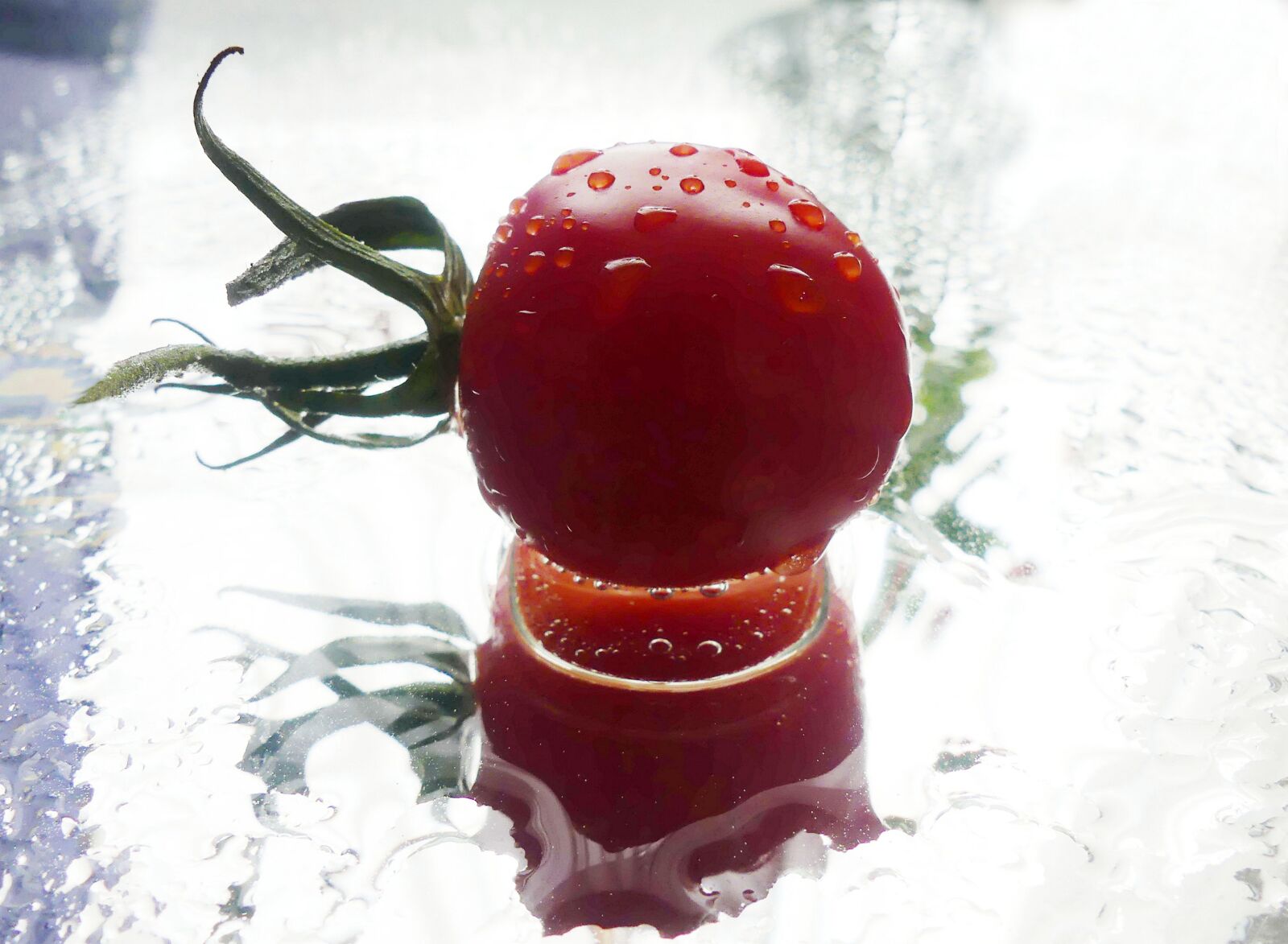 Panasonic Lumix DMC-FZ300 sample photo. Tomato, in the water photography