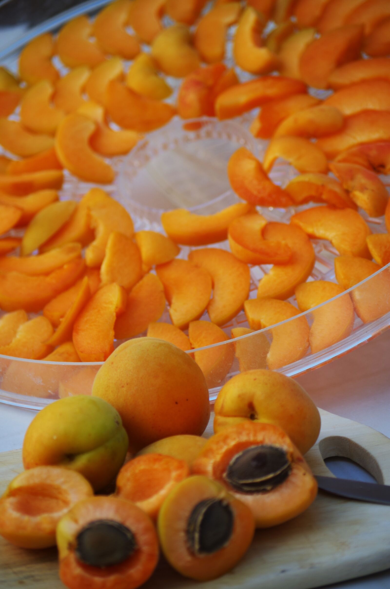 Pentax K-500 sample photo. Apricots, fruit, orange photography