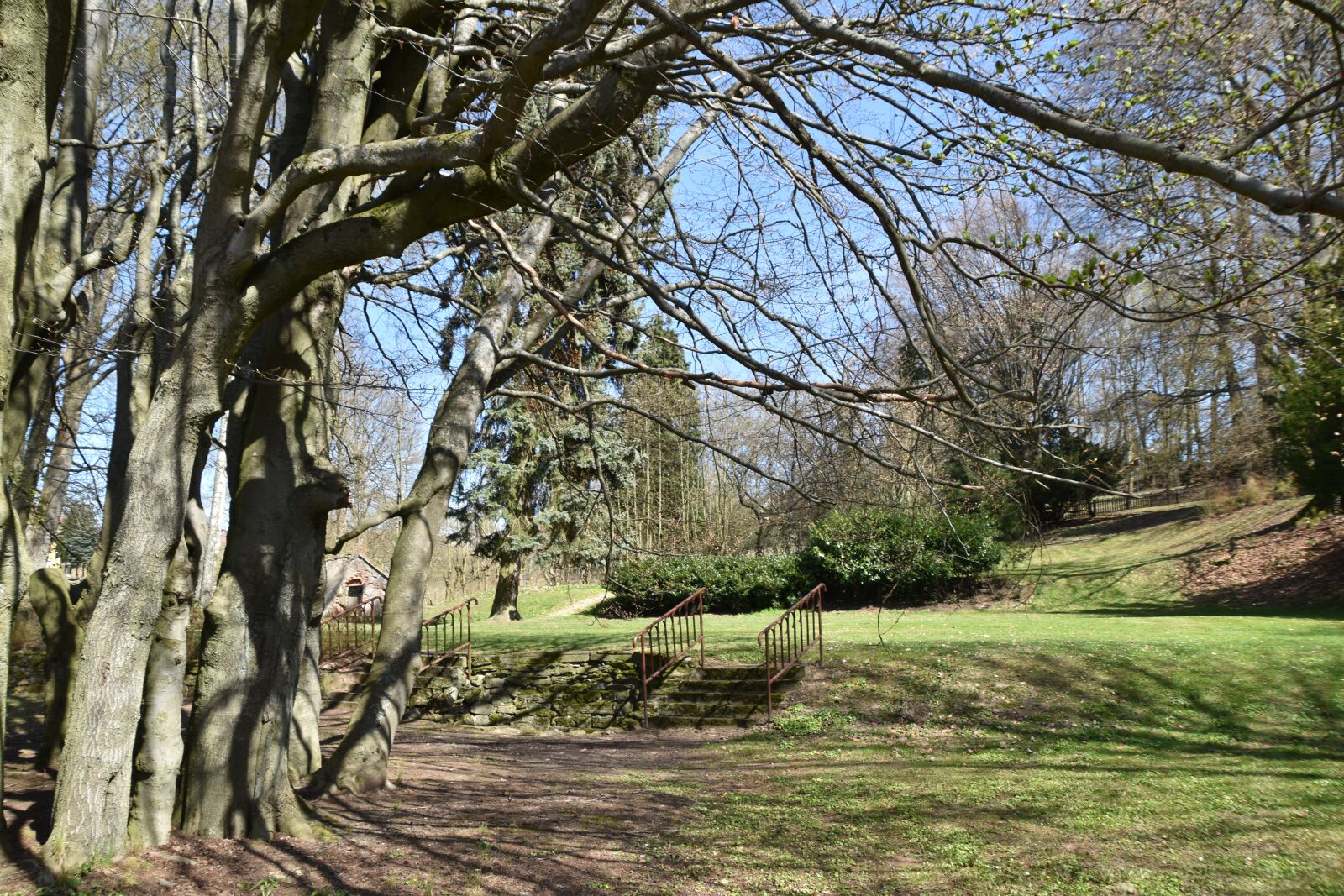 Nikon D3500 sample photo. Park, garden, stairs photography