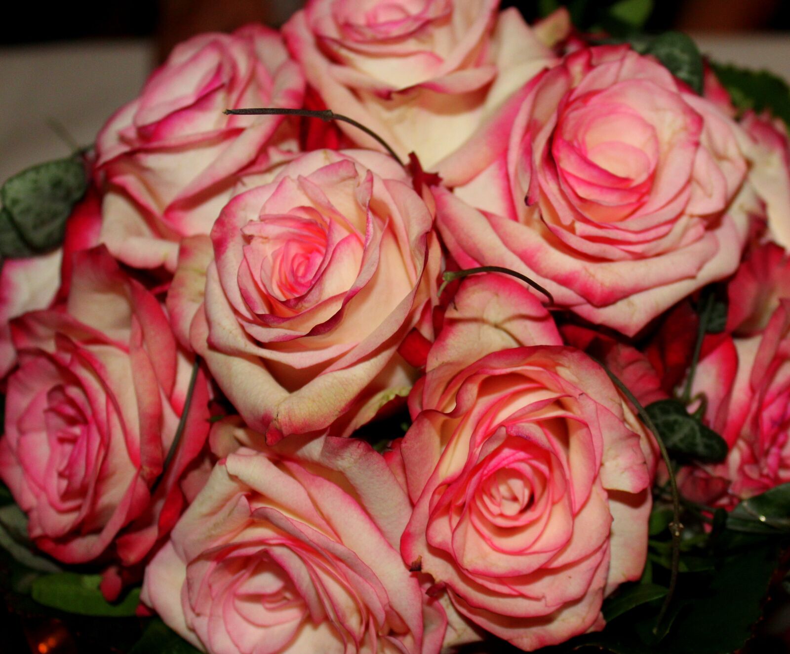 Canon EOS 1200D (EOS Rebel T5 / EOS Kiss X70 / EOS Hi) sample photo. Roses, flowers, red photography