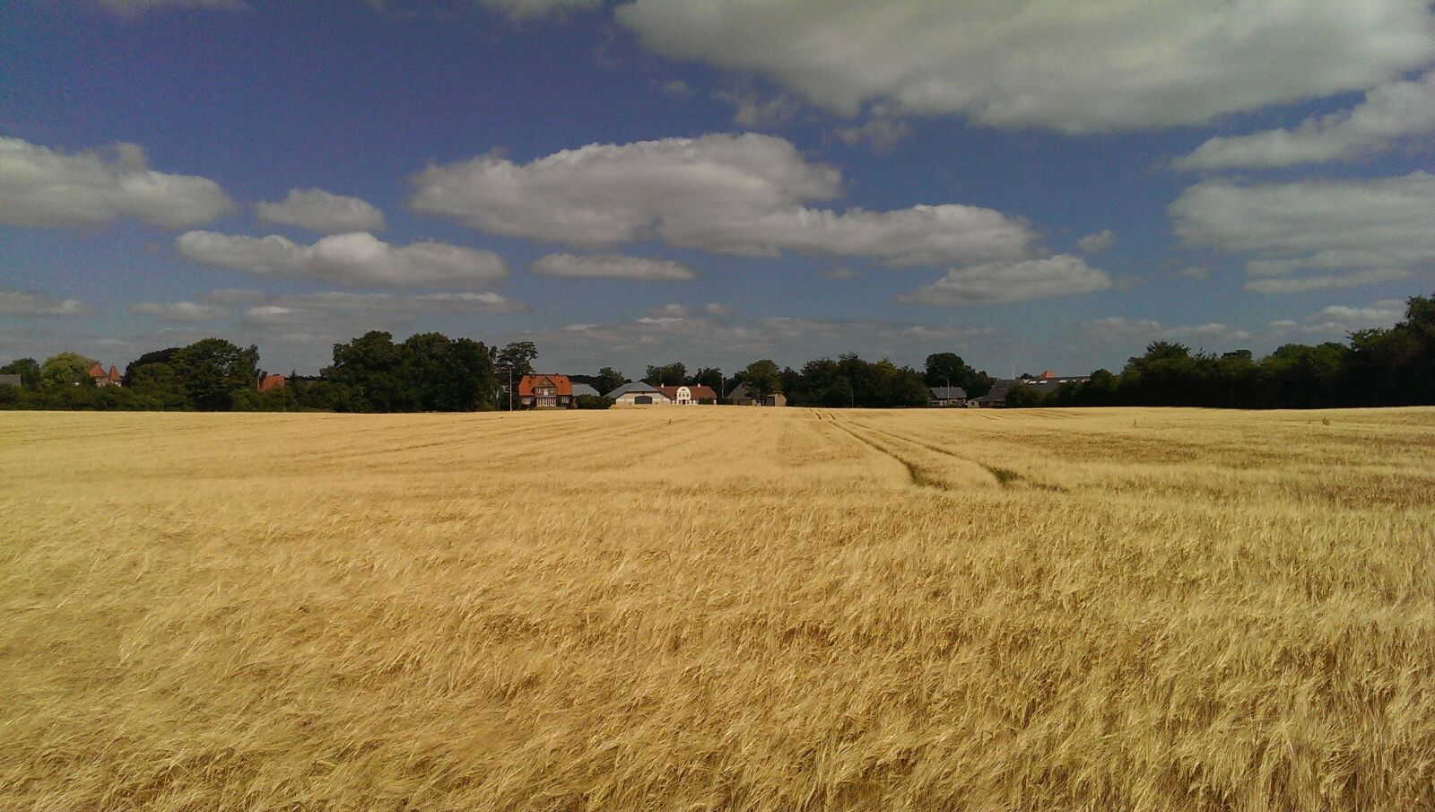 HTC ONE sample photo. Greifswald, corn, clouds photography
