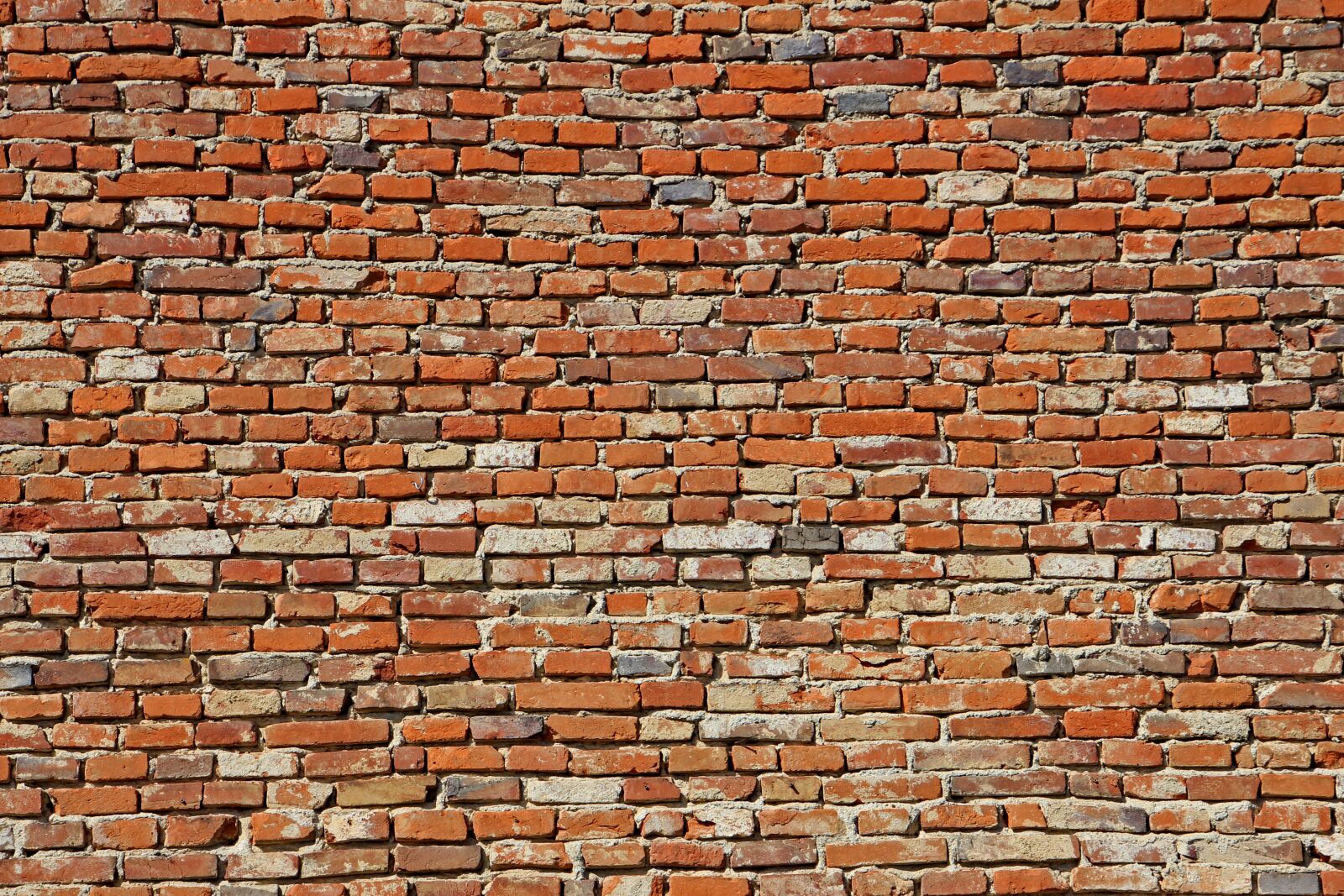 Canon EOS 60D sample photo. Wall, old, stones photography
