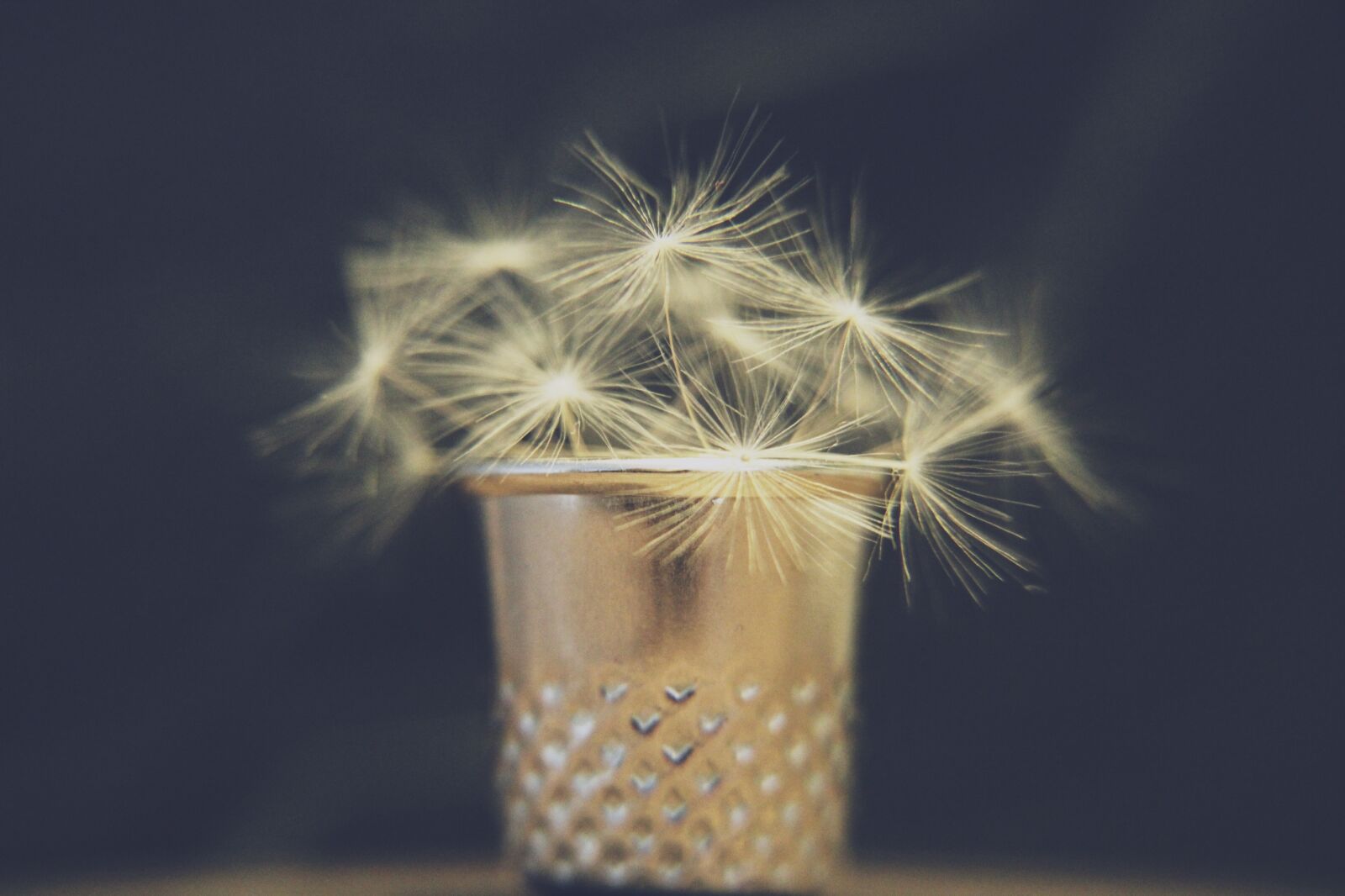 Canon EOS 2000D (EOS Rebel T7 / EOS Kiss X90 / EOS 1500D) sample photo. Dandelion, thimble, vase photography