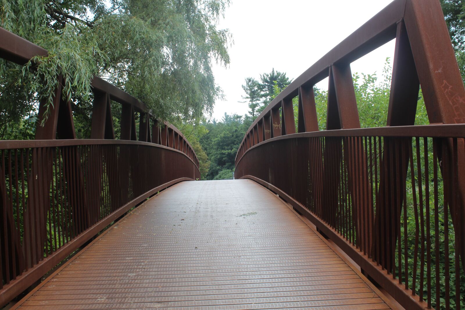 Canon EOS 1300D (EOS Rebel T6 / EOS Kiss X80) sample photo. Bridge, metal, nature photography
