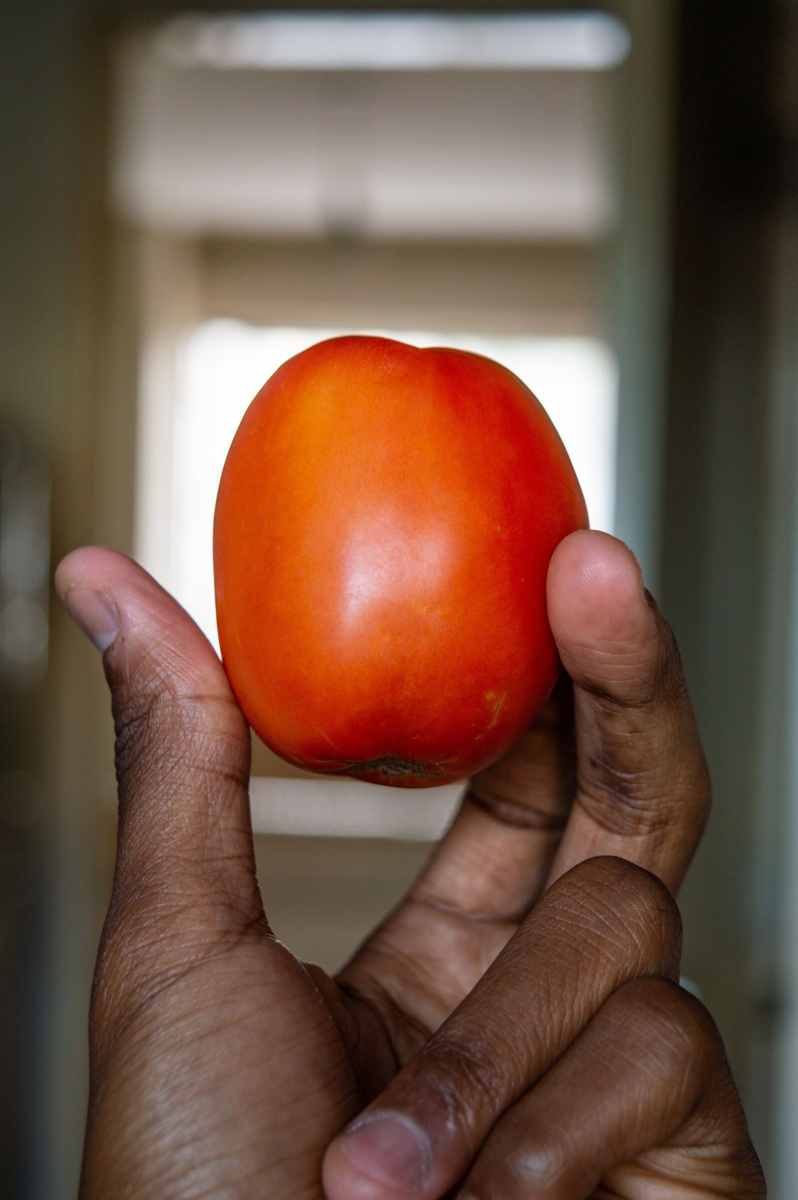 Nikon D3200 sample photo. Tomatoes, food, eat photography