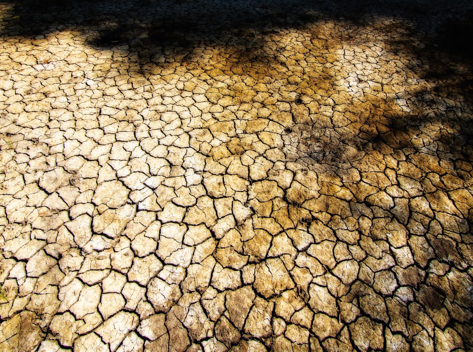 Nikon D7200 sample photo. Cracked earth, dry land photography