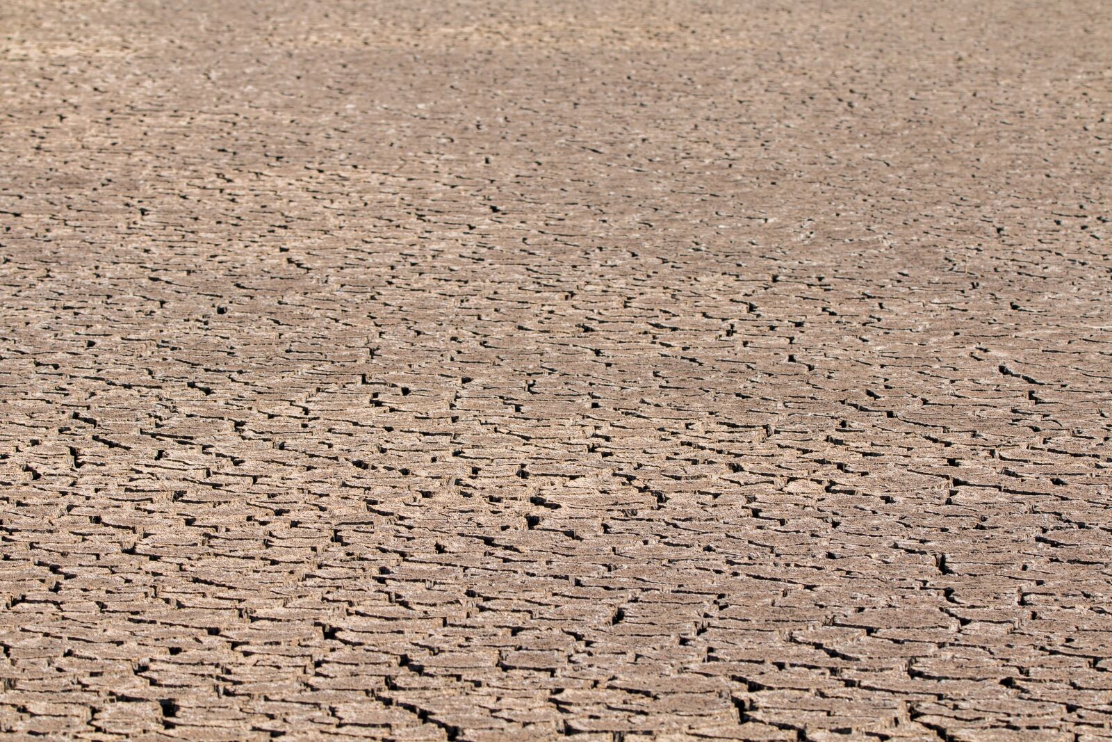150-600mm F5-6.3 DG OS HSM | Contemporary 015 sample photo. Drought, ground, cracks photography