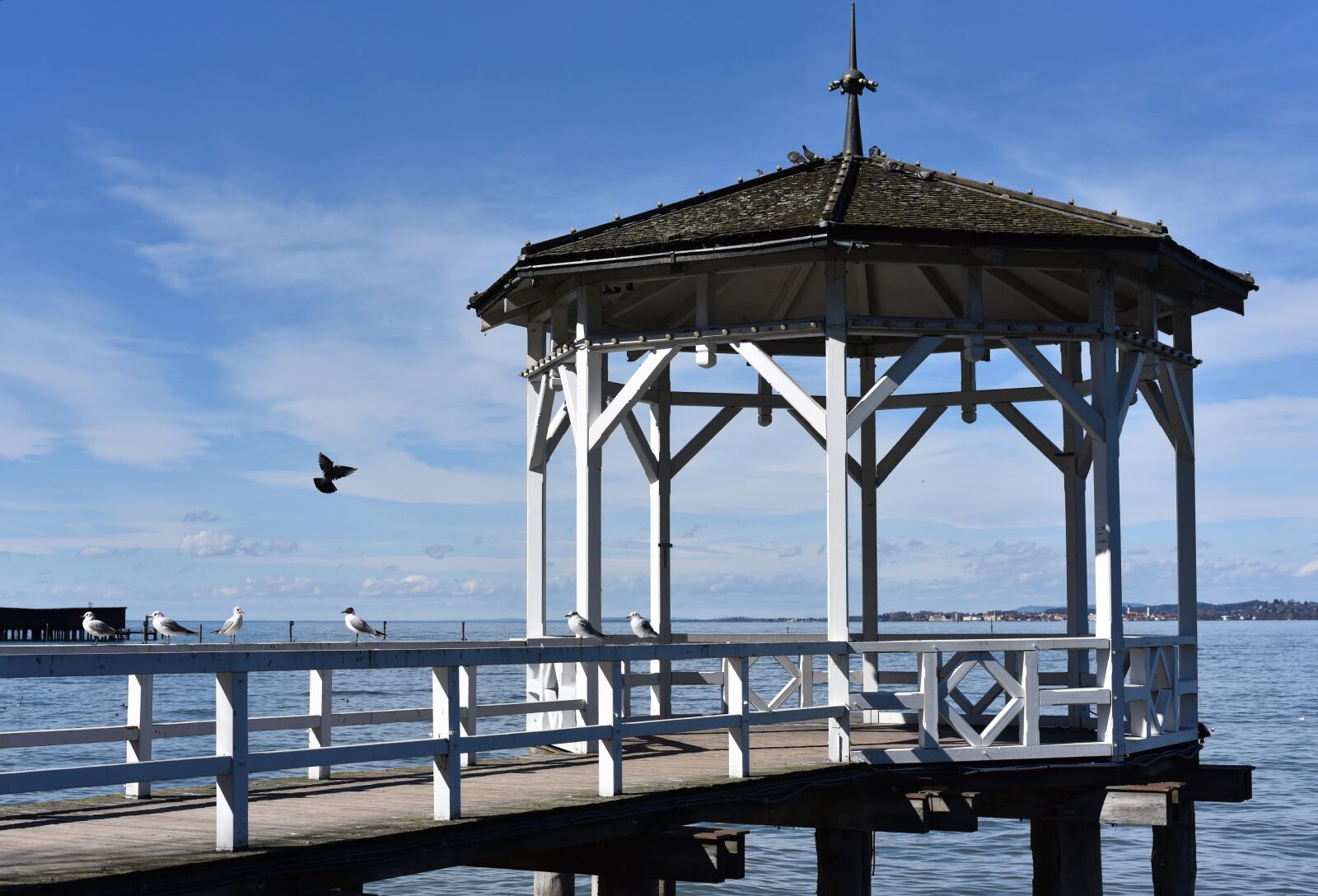Nikon D750 sample photo. Web, lake, bank photography