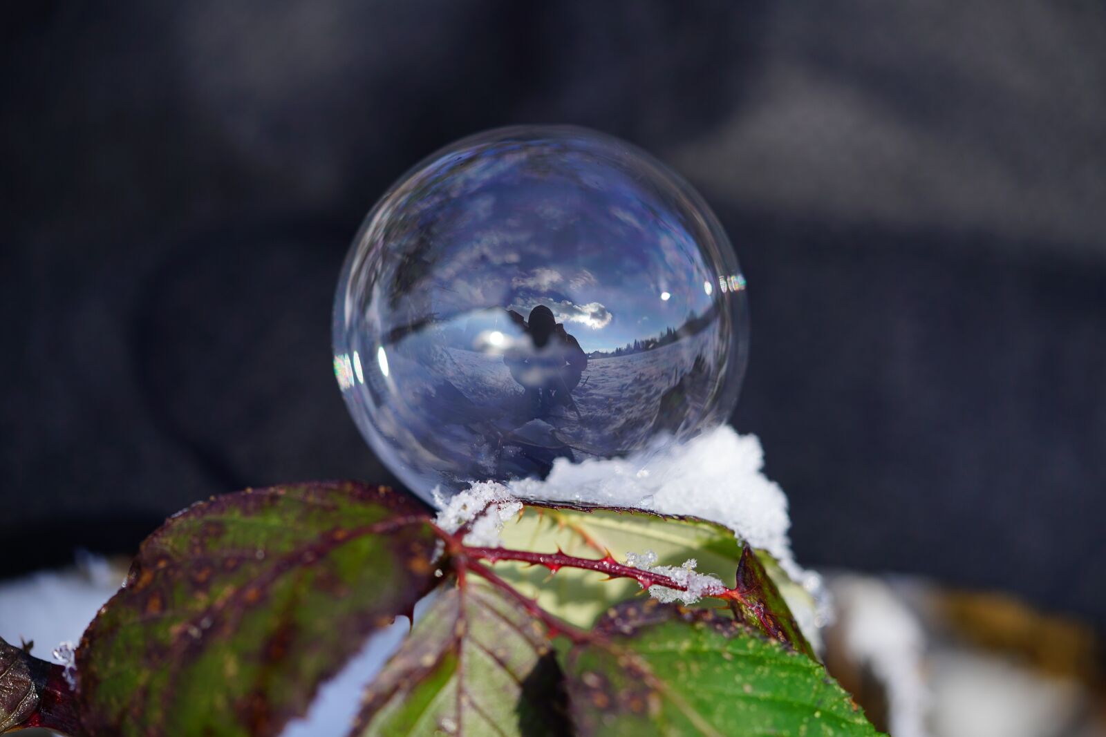 Sony a7R II + Sony FE 90mm F2.8 Macro G OSS sample photo. Soap bubble, winter, ball photography