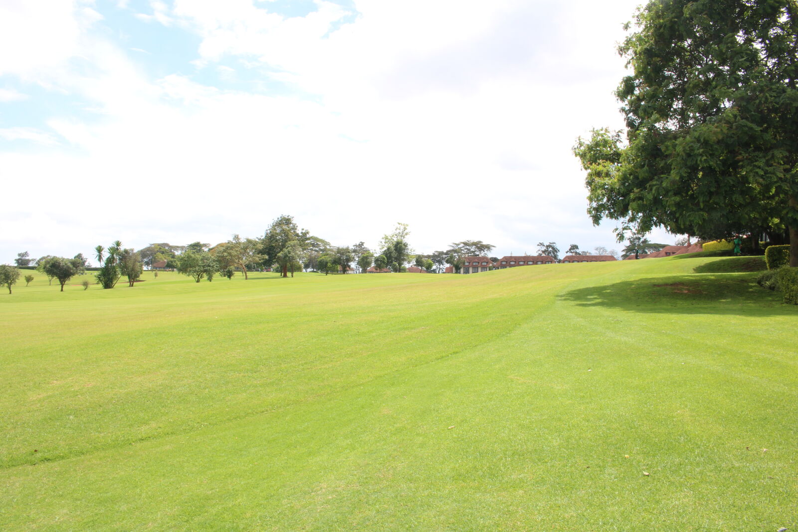 Canon EOS 750D (EOS Rebel T6i / EOS Kiss X8i) + Canon EF-S 18-55mm F3.5-5.6 IS STM sample photo. Golf photography