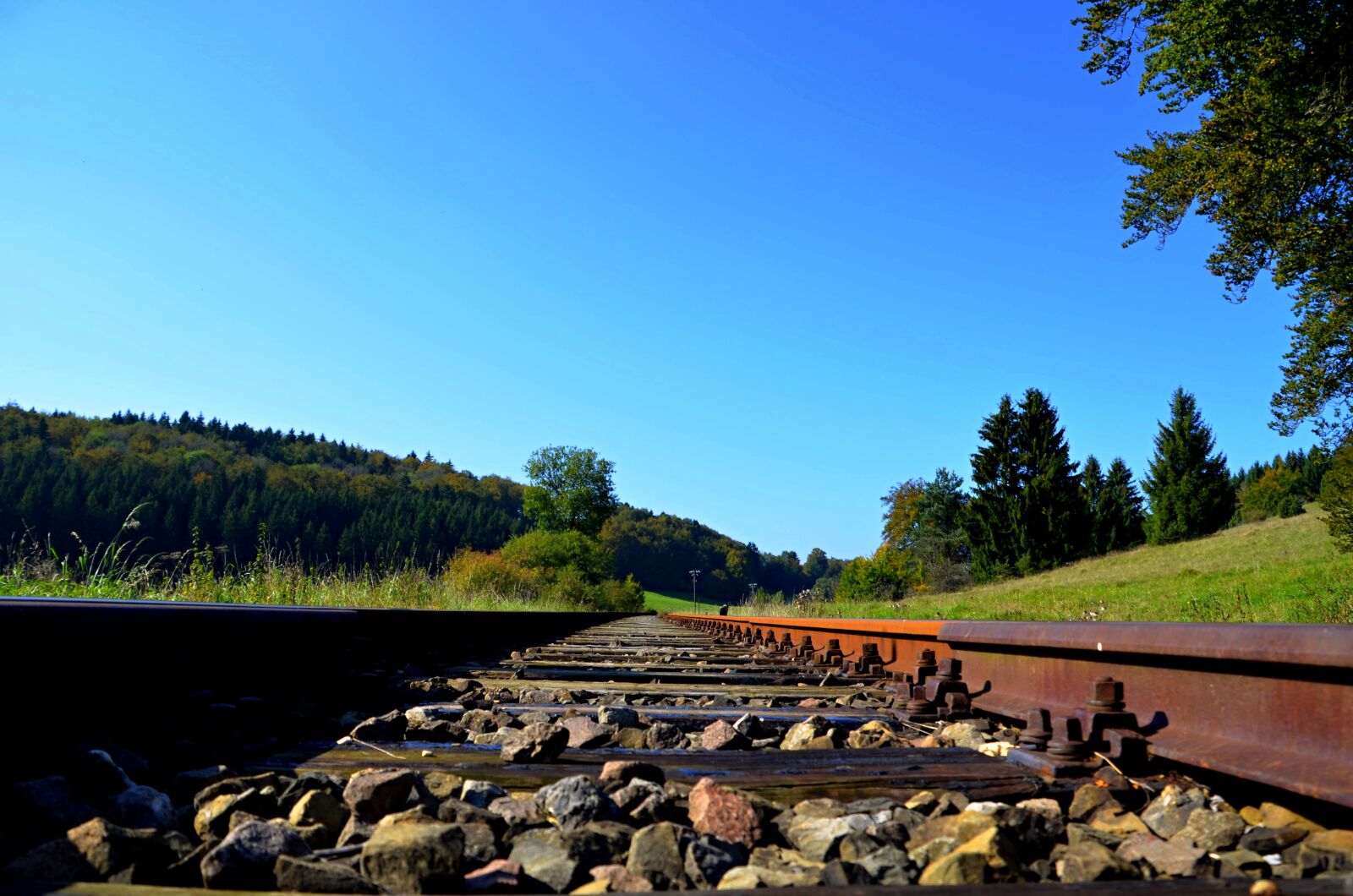 Nikon D5100 sample photo. Railway rails, nature, track photography