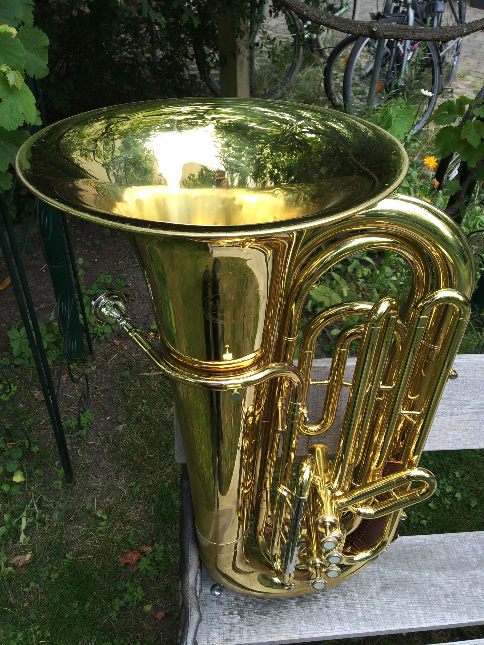 iPhone 5s back camera 4.15mm f/2.2 sample photo. Berlin, tuba, garden photography