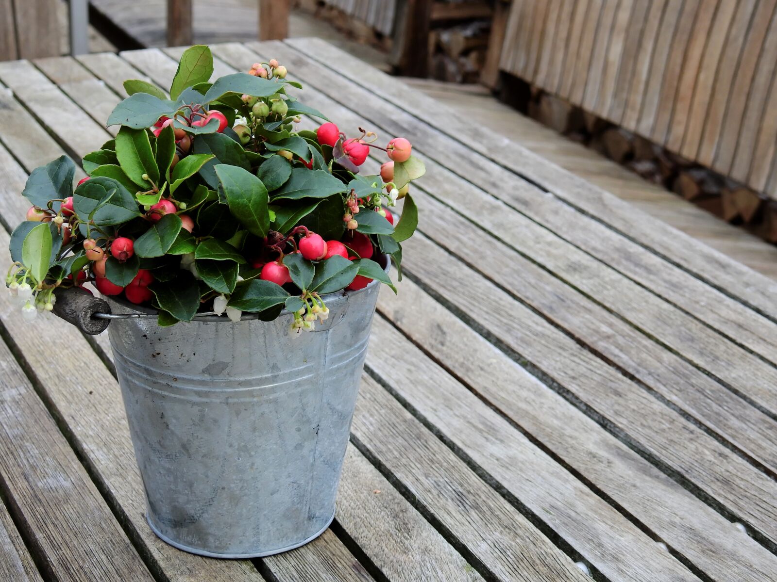 Nikon Coolpix P900 sample photo. Flowers, table, wood photography