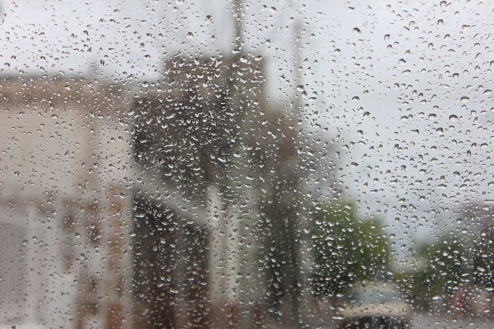 Canon EOS 600D (Rebel EOS T3i / EOS Kiss X5) sample photo. Window, drops, rain photography