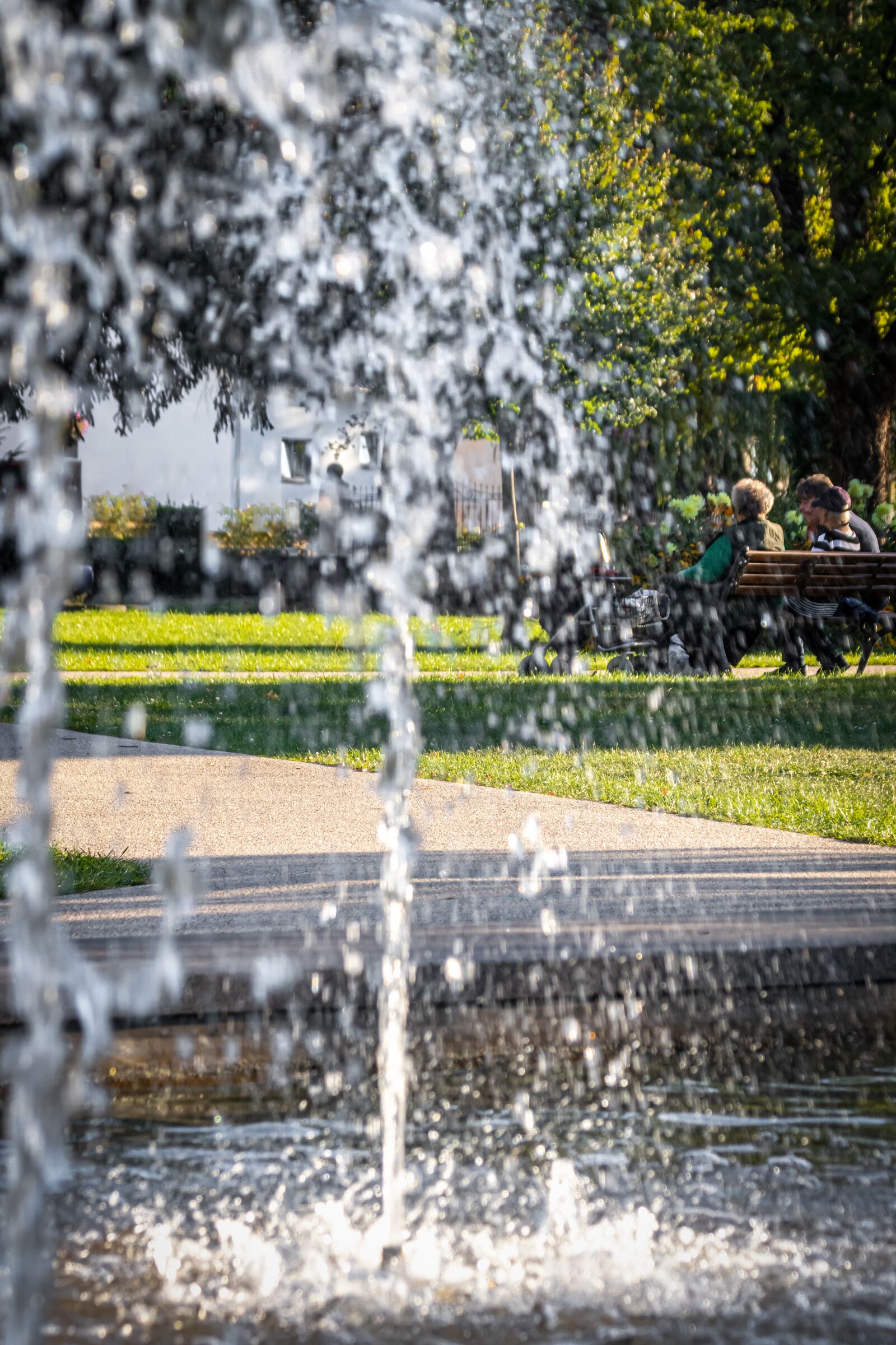 Canon EOS 80D sample photo. Park, summer, bench photography