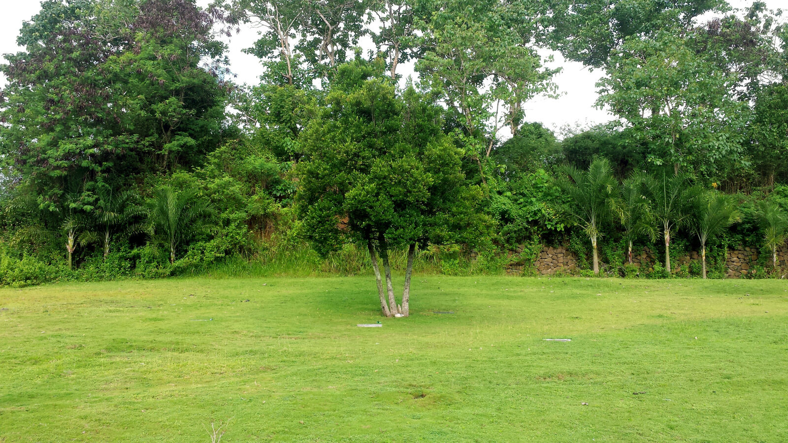 Samsung Galaxy S4 sample photo