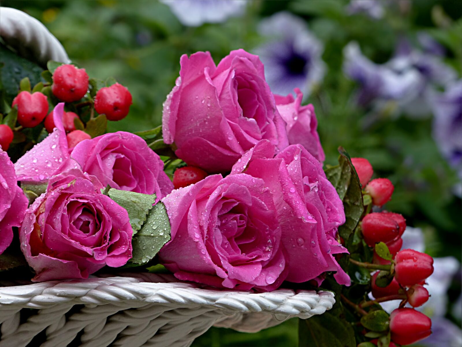 Panasonic Lumix DMC-FZ200 sample photo. Flower, rose, pink photography