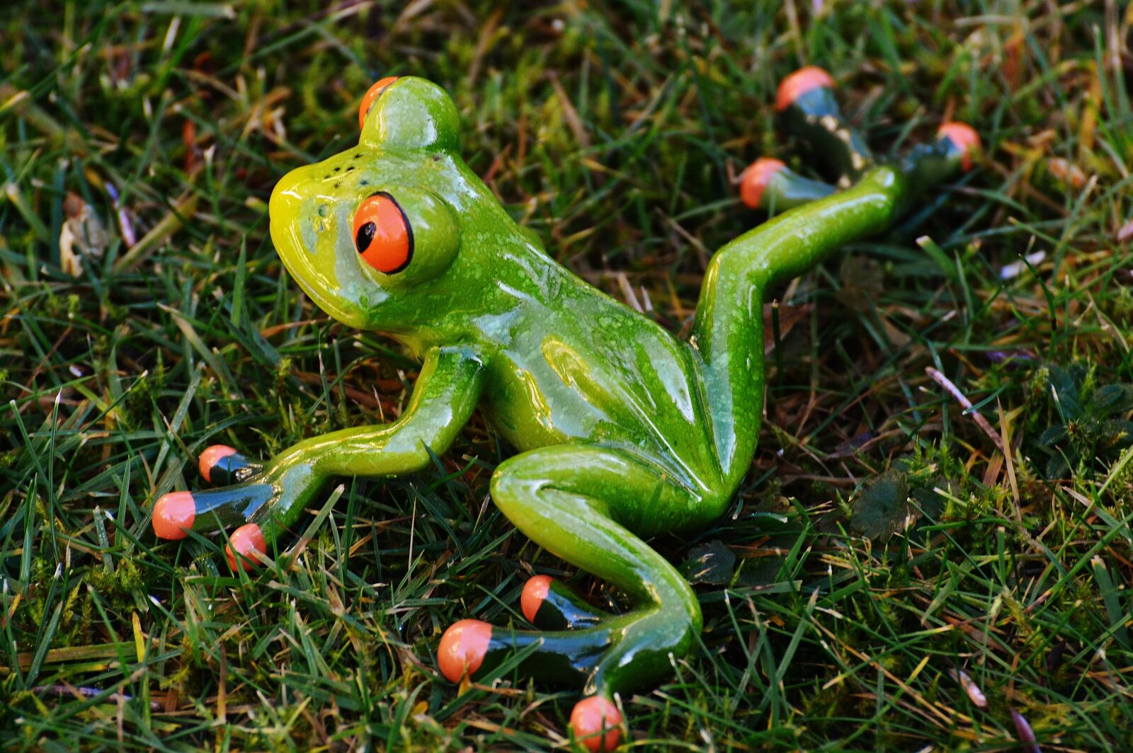 Nikon D3200 sample photo. Frog, meadow, figure photography