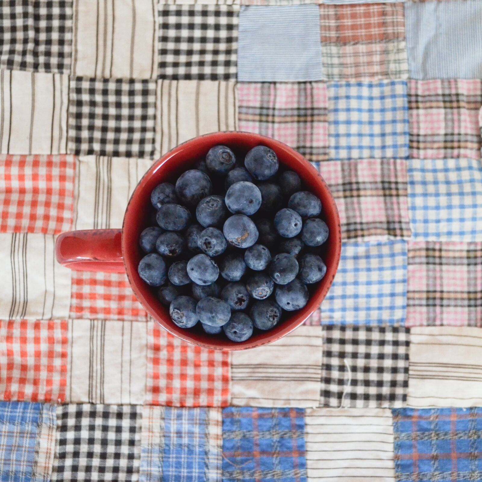 Nikon D5100 sample photo. Blueberries, closeup, fruit photography