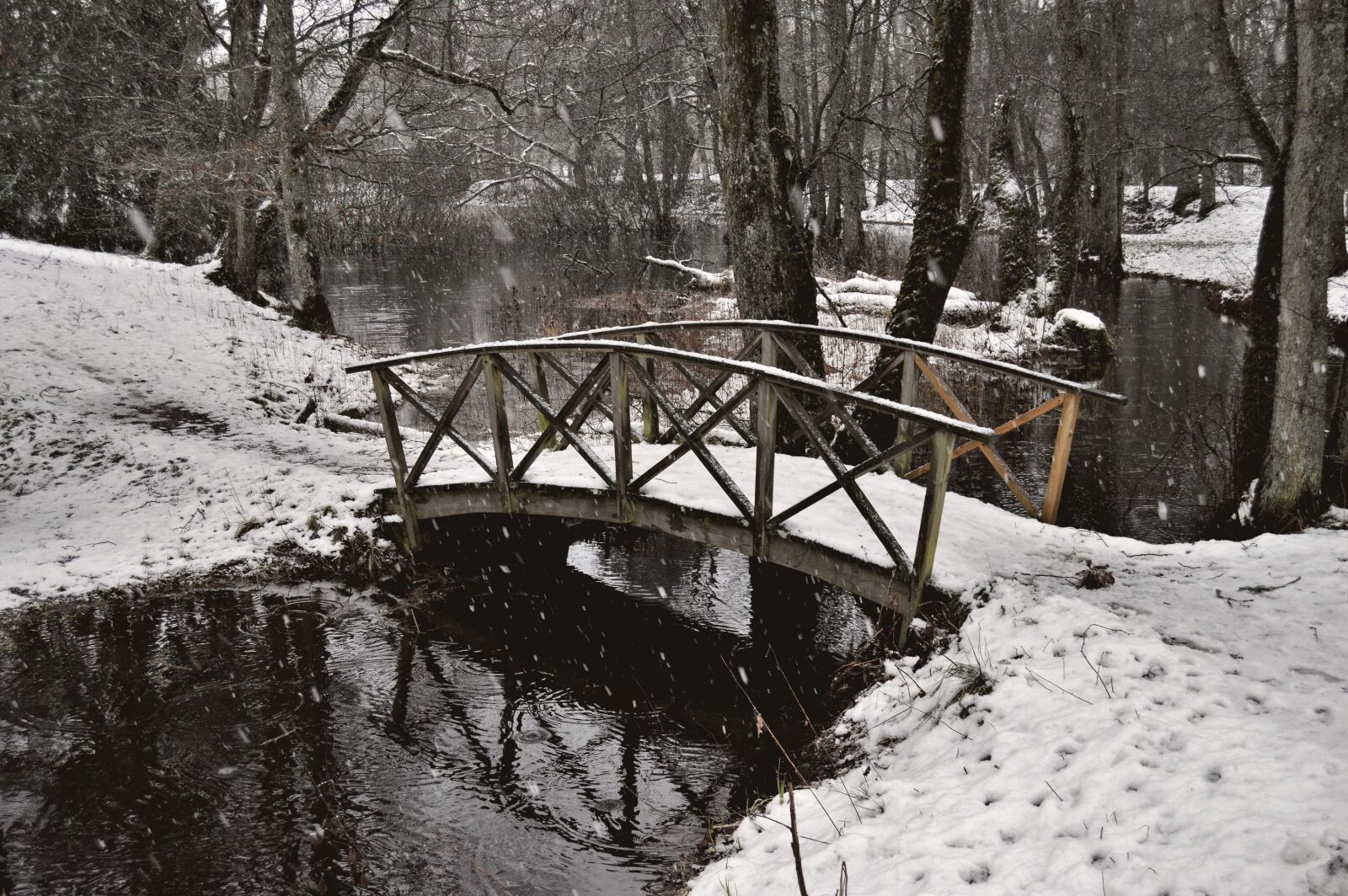 Nikon D3200 sample photo. Winter, snow, cold photography