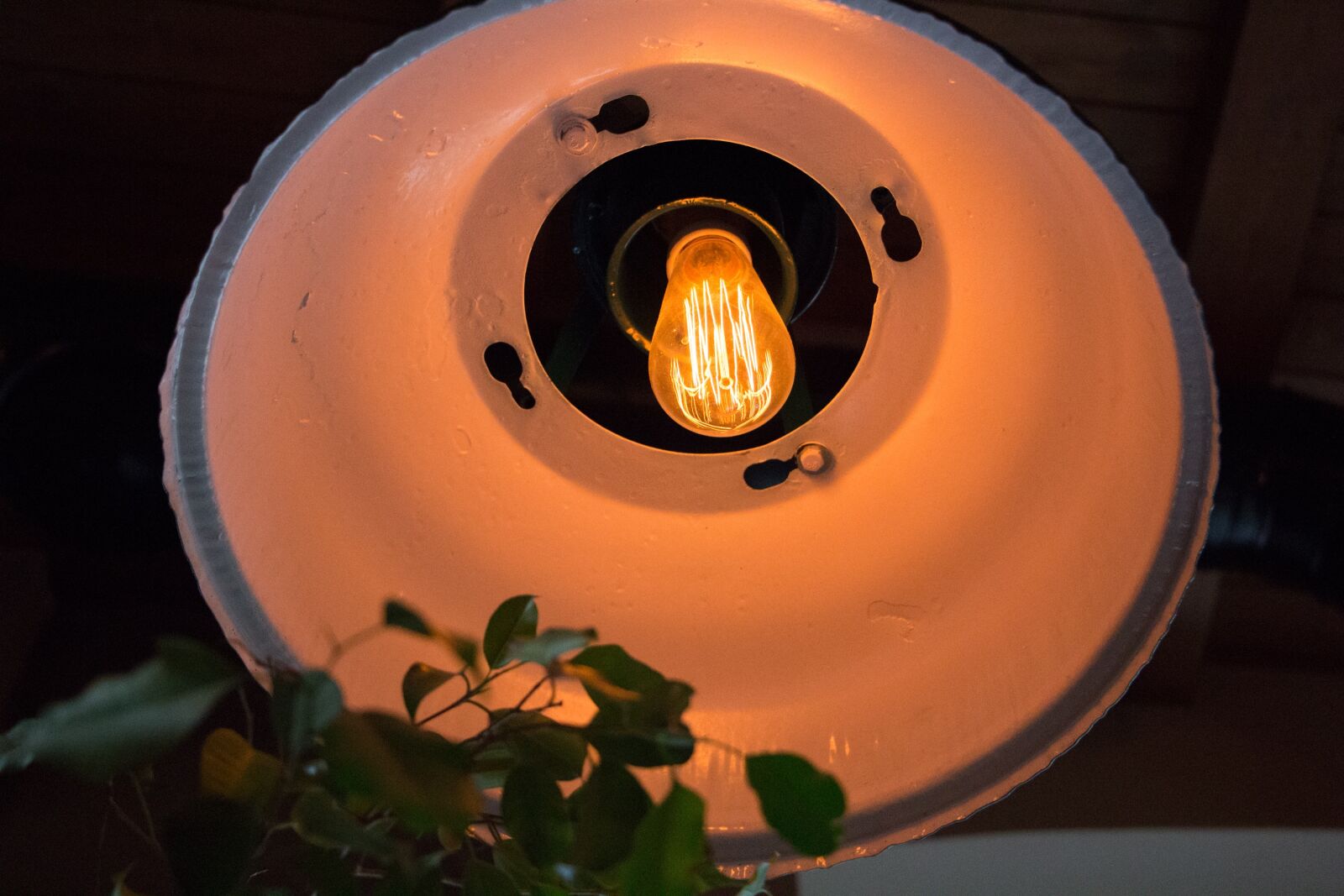 Canon EOS 700D (EOS Rebel T5i / EOS Kiss X7i) sample photo. Bulb, leaves, light photography