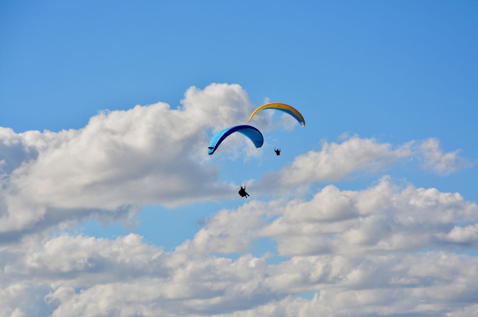 Nikon D5200 sample photo. Paragliding, paraglider, sailing photography
