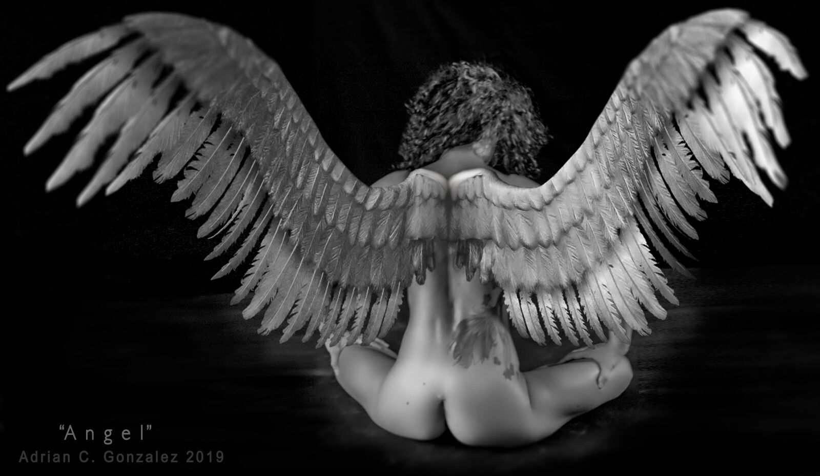 Canon EOS 550D (EOS Rebel T2i / EOS Kiss X4) sample photo. Women, angel, wings photography