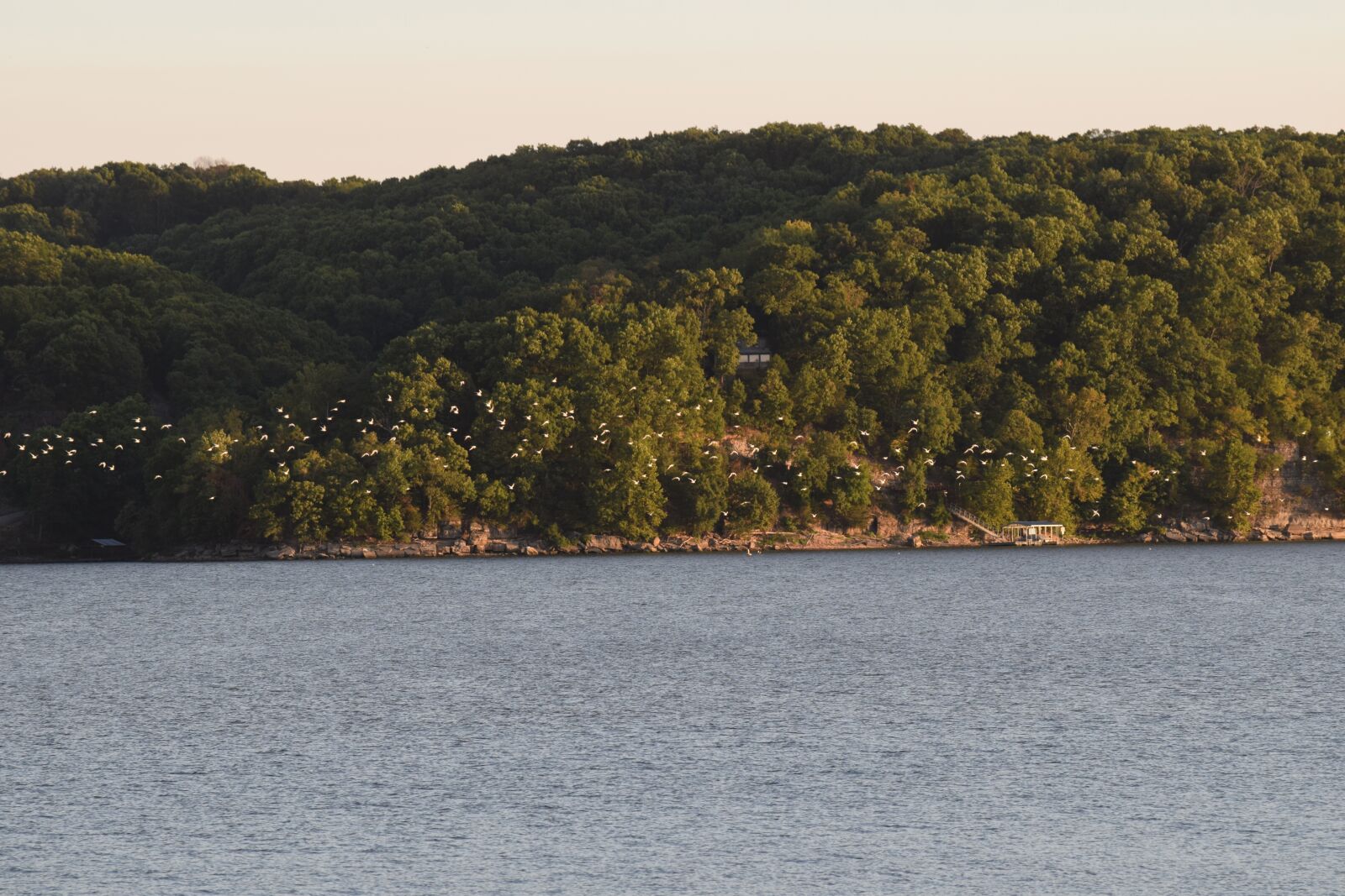 Nikon D3300 sample photo. Lake, shore, trees photography