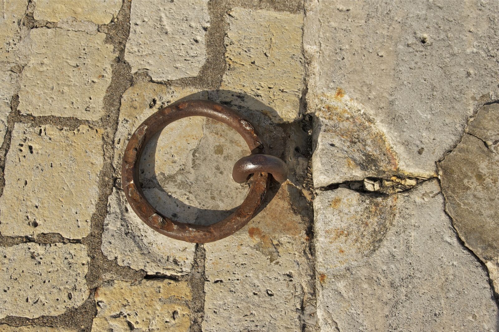 Sony Alpha DSLR-A550 sample photo. Mooring ring, metal, ring photography