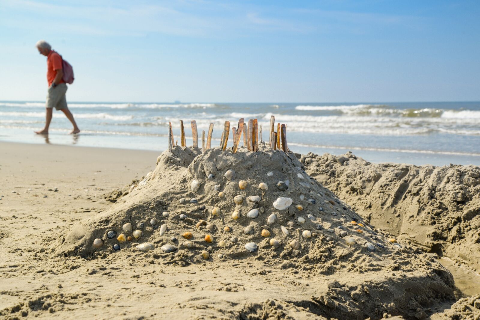 Nikon D610 sample photo. Beach, castle, shell photography