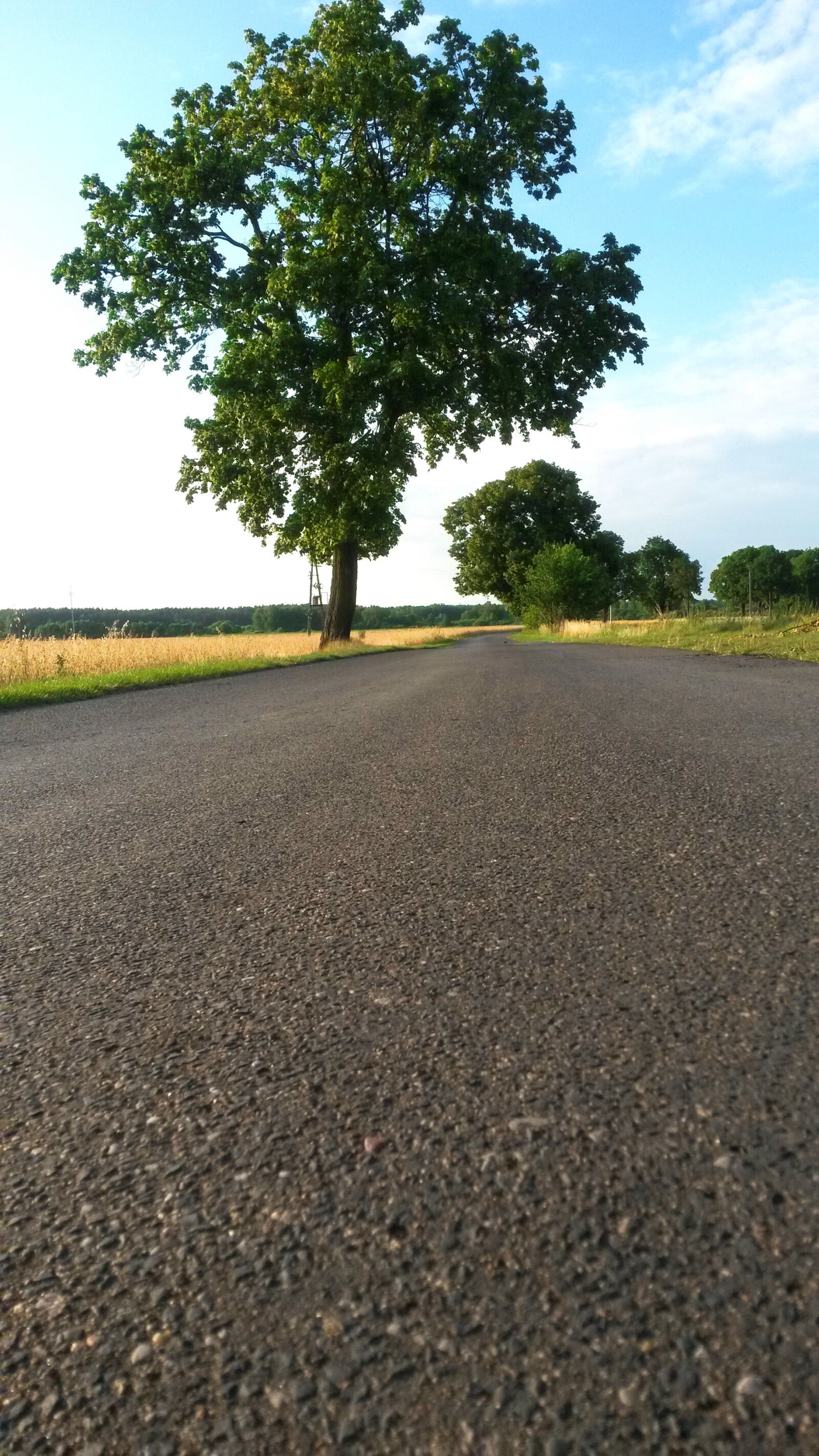 Samsung Galaxy S4 Mini sample photo. Road, theme, roads, tree photography