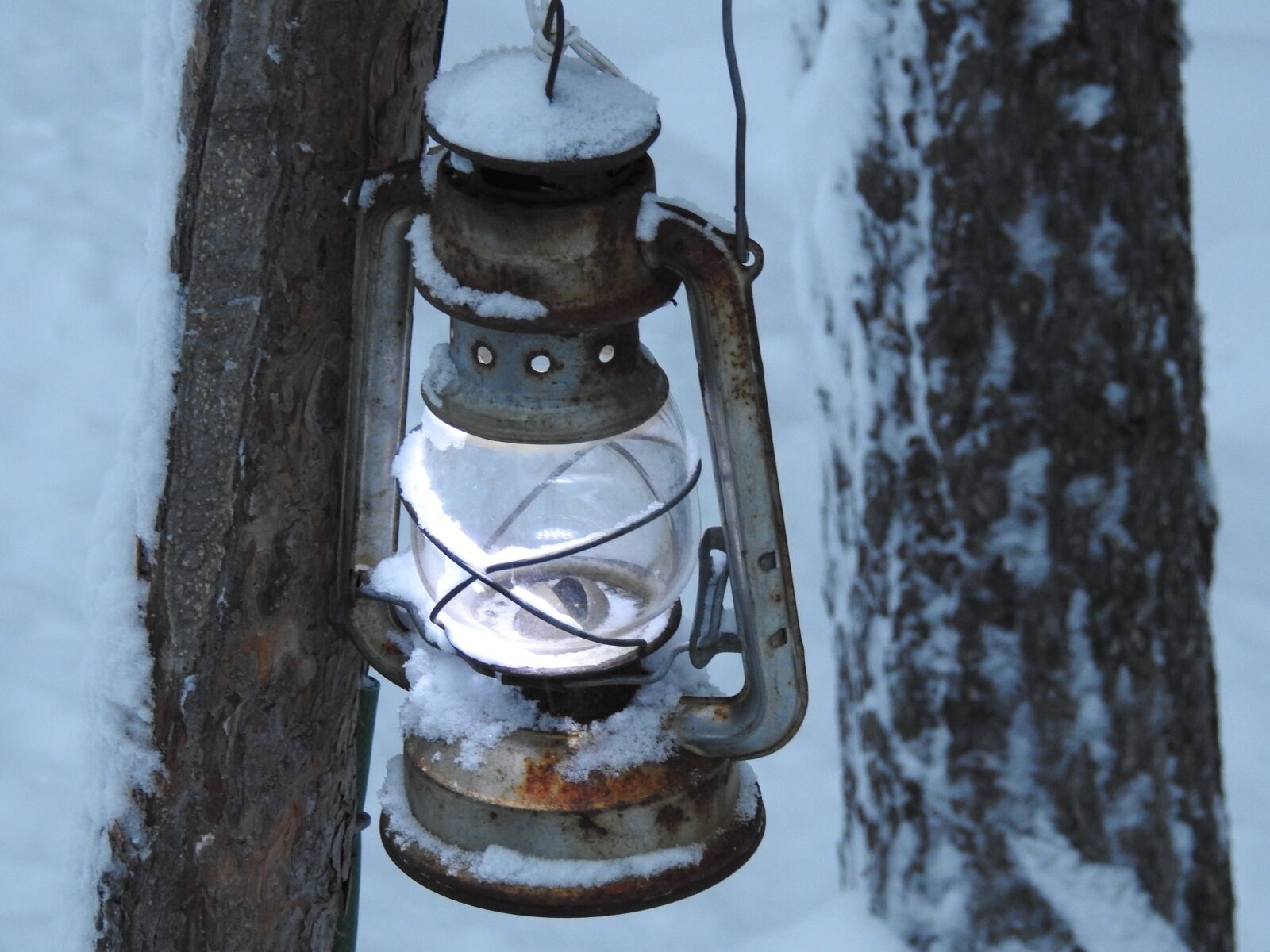 Nikon Coolpix P900 sample photo. Light, lamp, lantern photography
